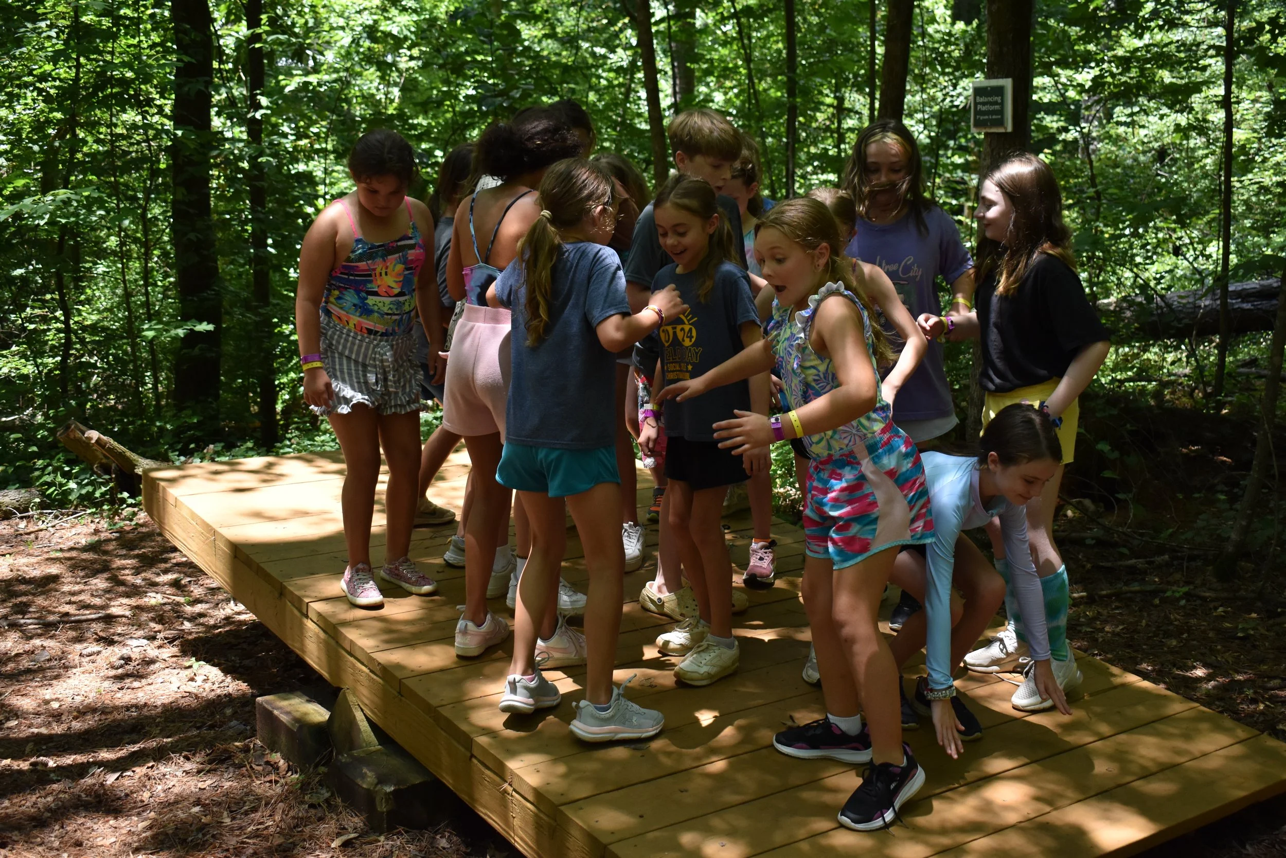 A group of children gathered on a wooden platform in a forest, engaged in an outdoor activity.