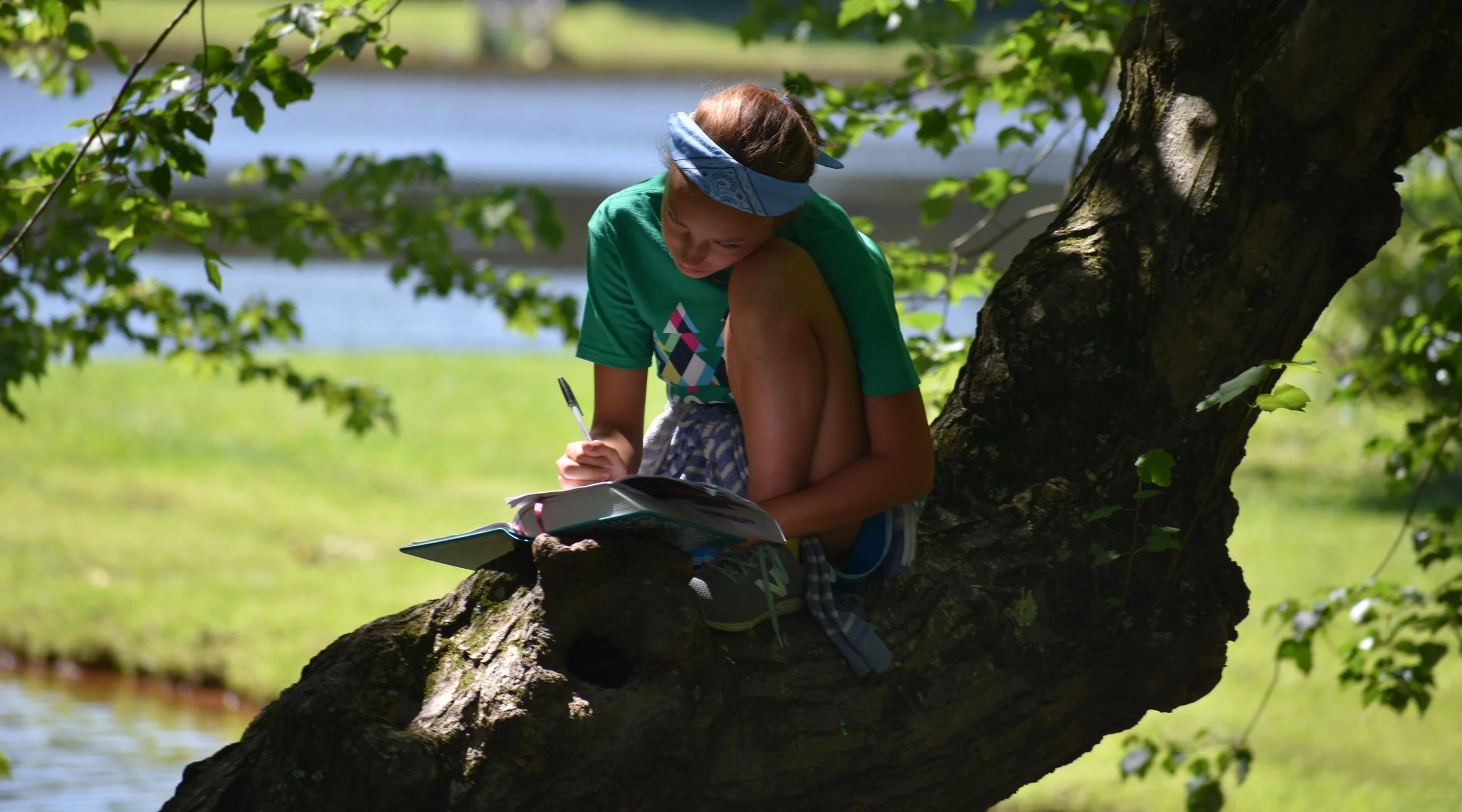 A person sitting on a tree branch near a body of water, writing in a notebook with a pen, surrounded by green leaves.