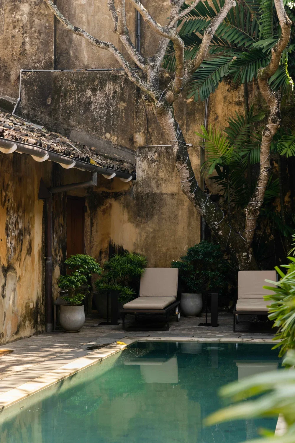 A cozy backyard patio with a small pool, two lounge chairs, potted plants, and a large tree growing next to a weathered yellow wall.