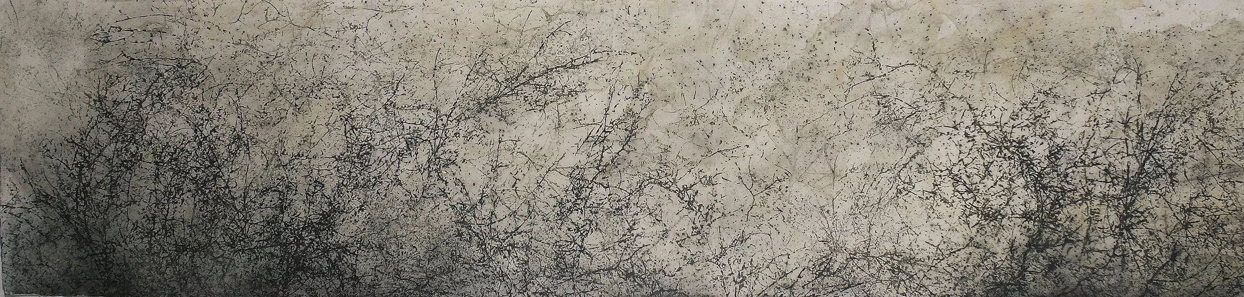 Deep in the Woods 142 • Altered Collage Print • 16" x 64"