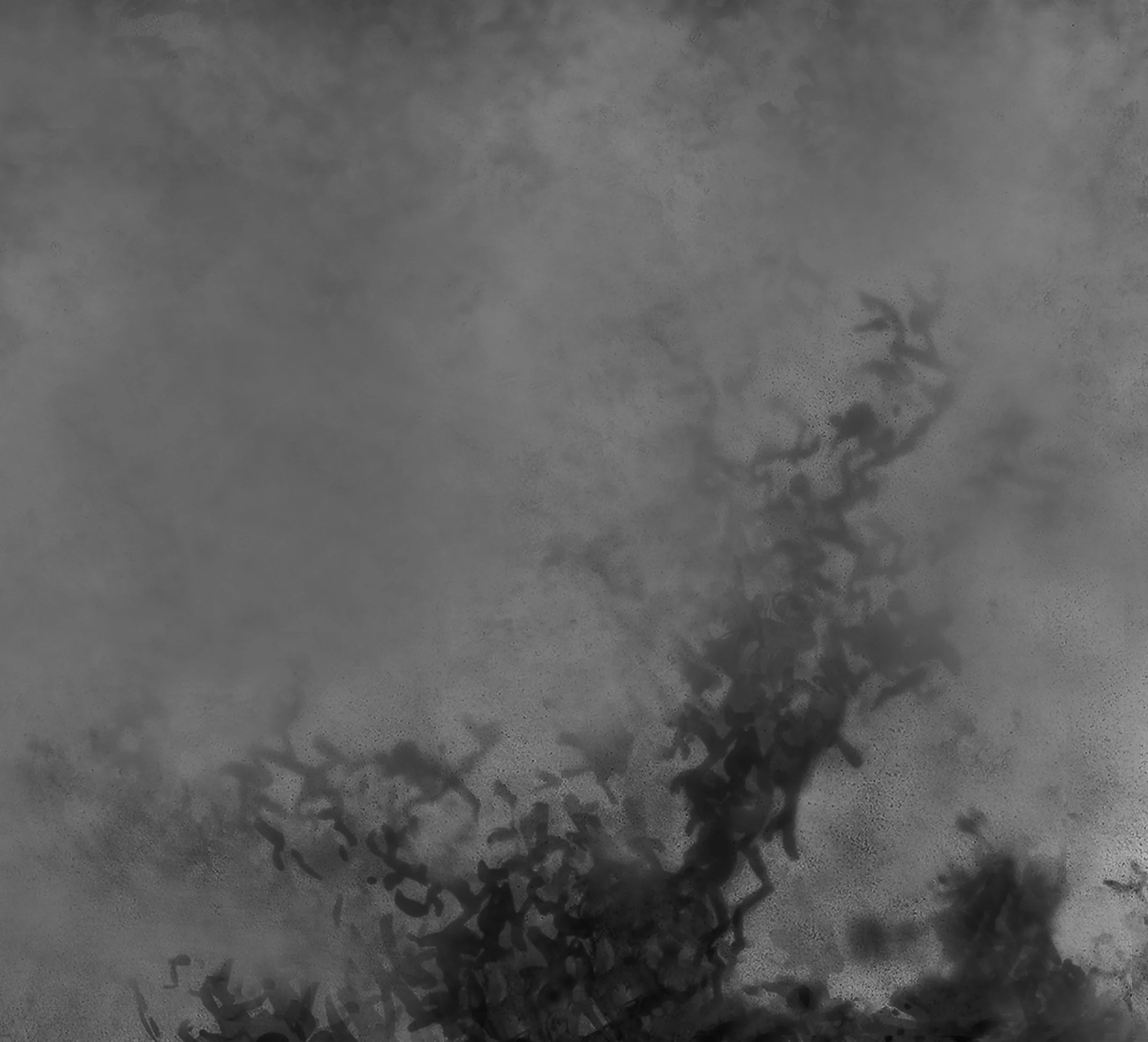 North XXXI • Archival Pigment Print, Graphite Wash on Asuka Paper • 25" x 26"