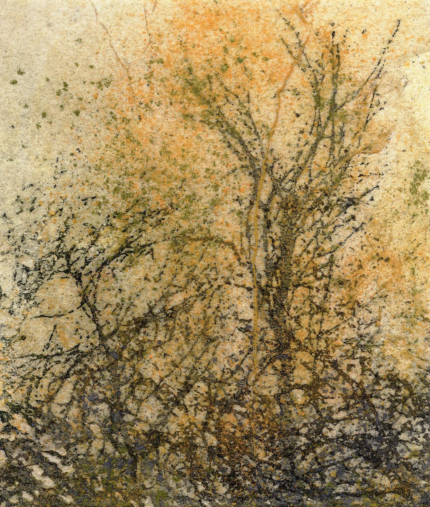 Deep in the Woods 212 • Altered Colllaged Woodcut • 4" x 5"