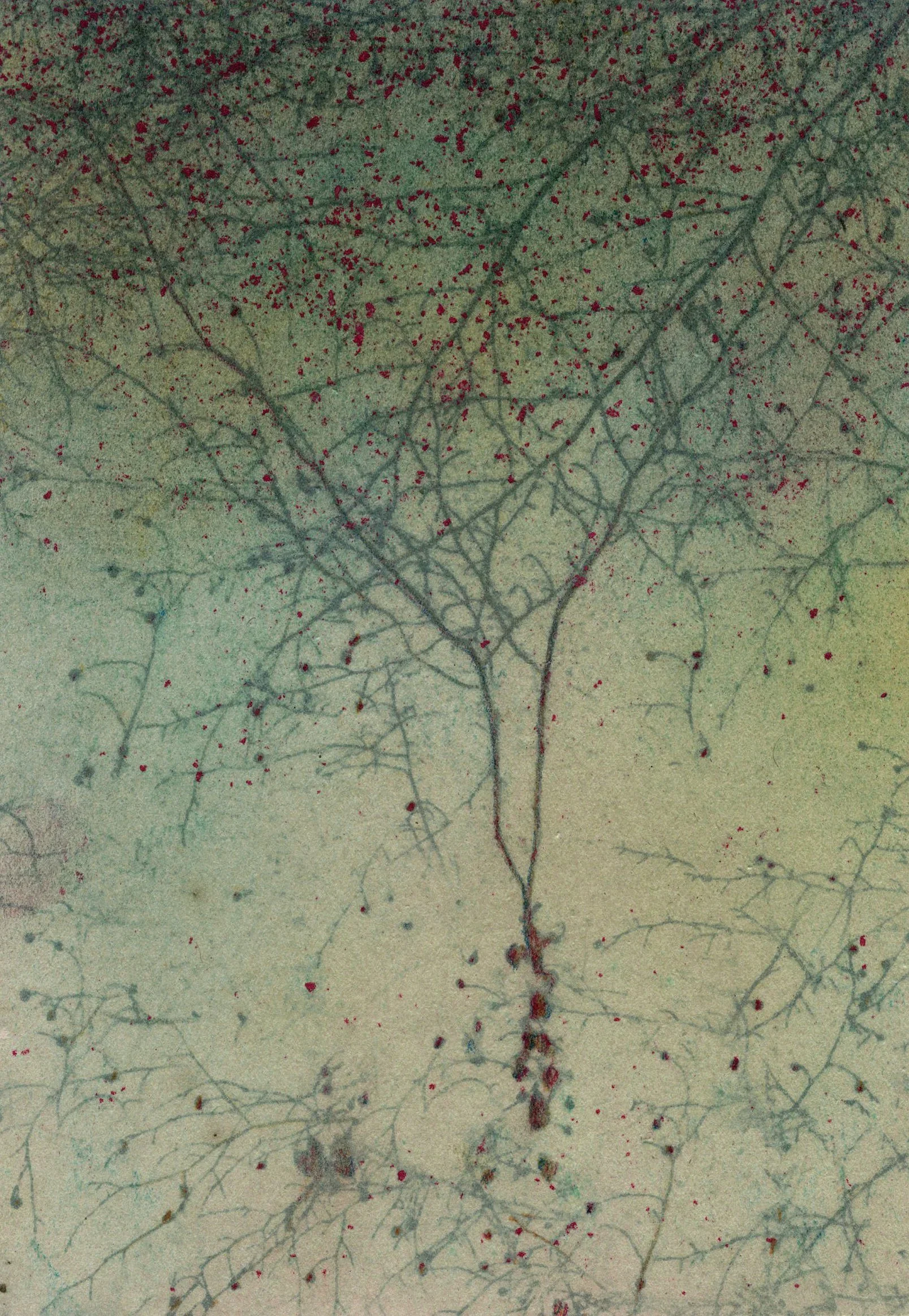 Deep in the Woods 135 • Altered Collaged Print • 6" x 8"