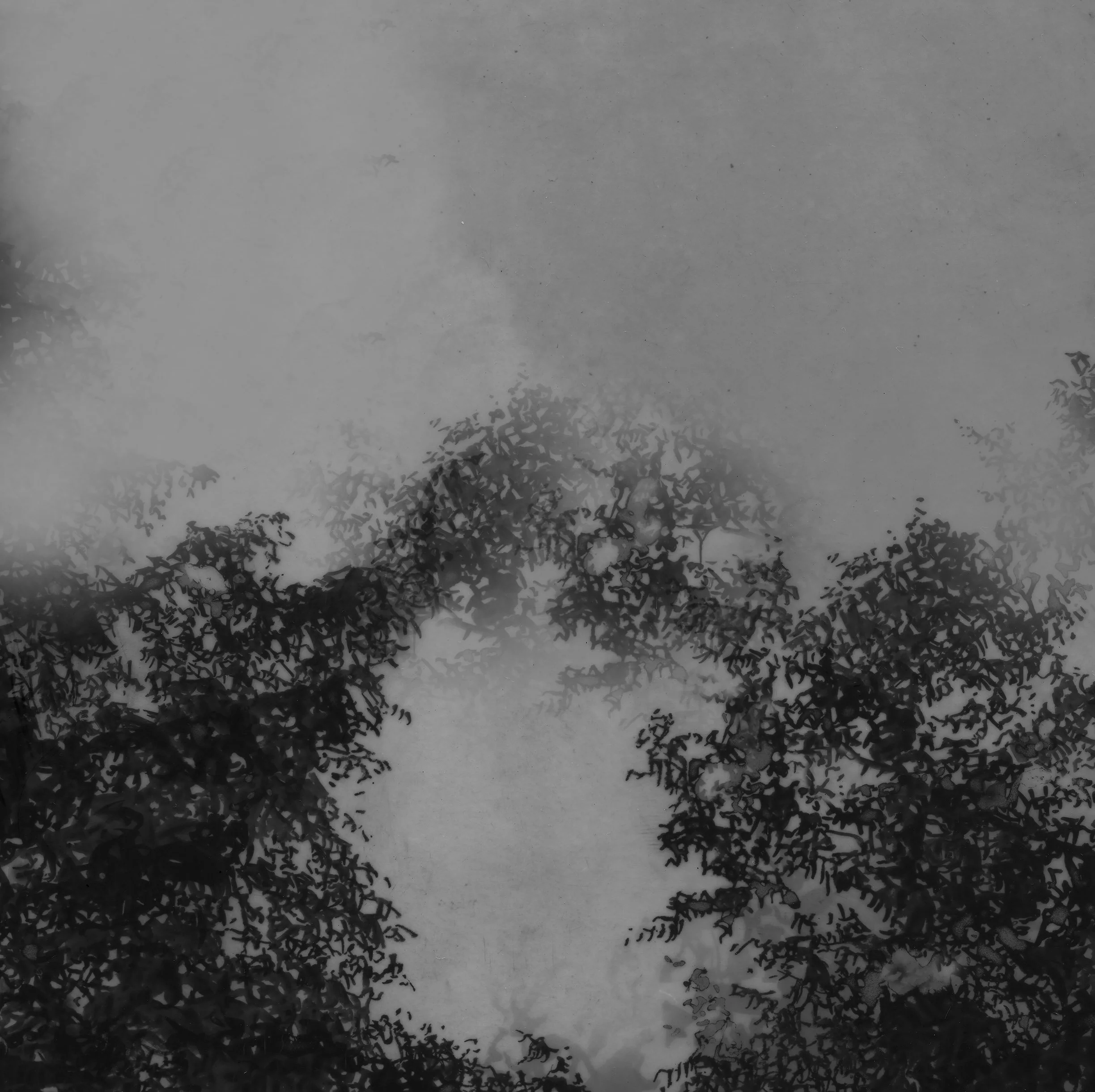 North XXIII • Archival Pigment Print on Asuka Paper • 17" x 23"