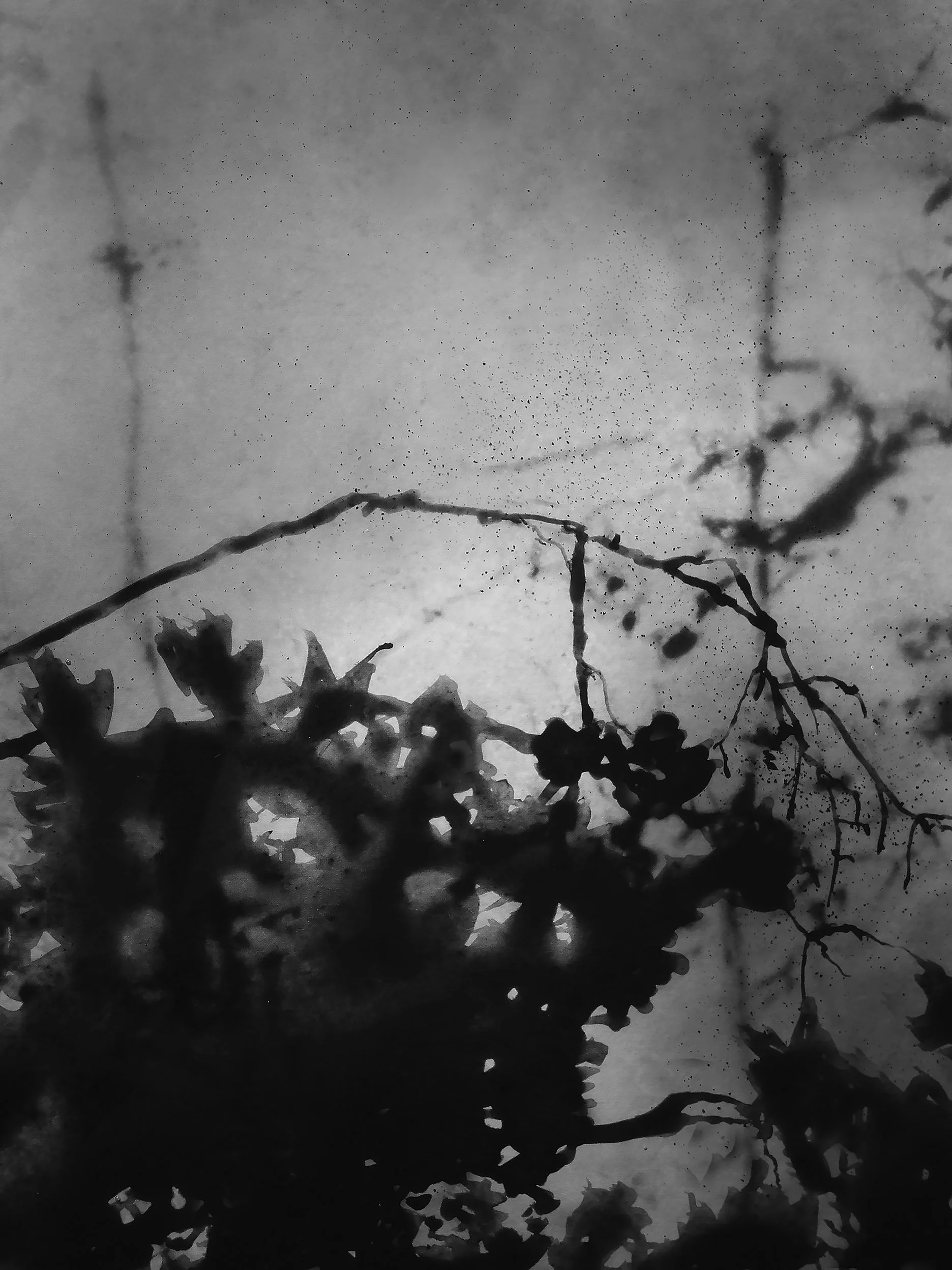 North X • Archival Pigment Print, Graphite Wash on Asuka Paper • 24" x 30"