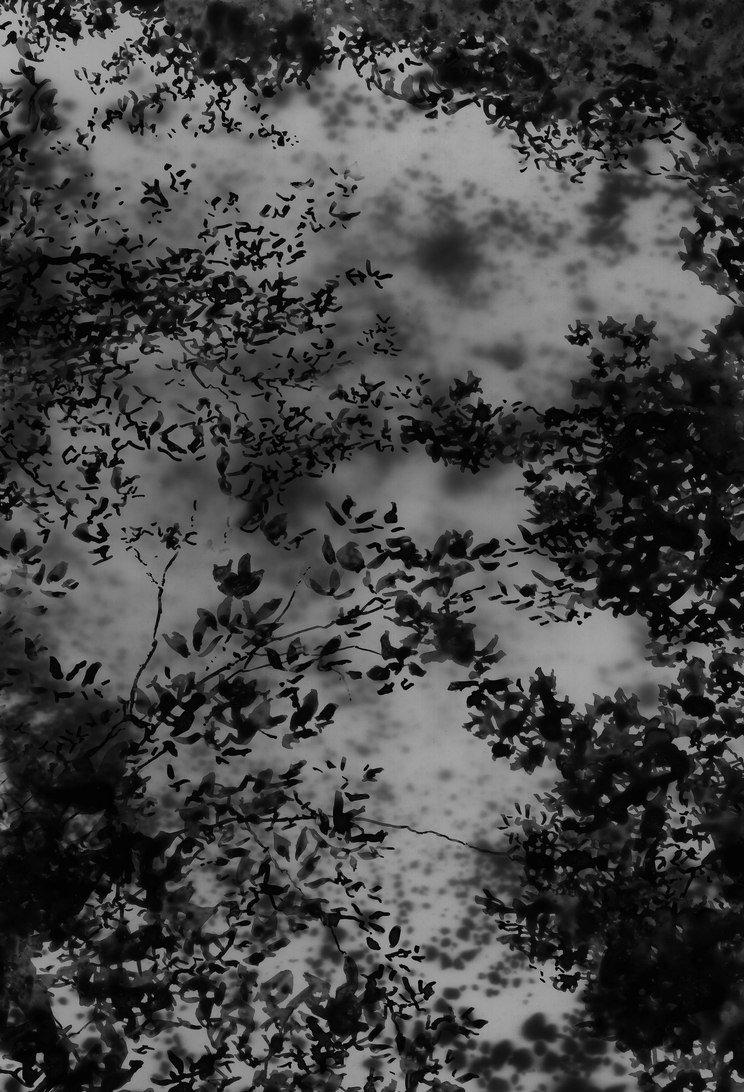 North XXII • Archival Pigment Print, Ink on Rives BFK Paper • 36" x 52"