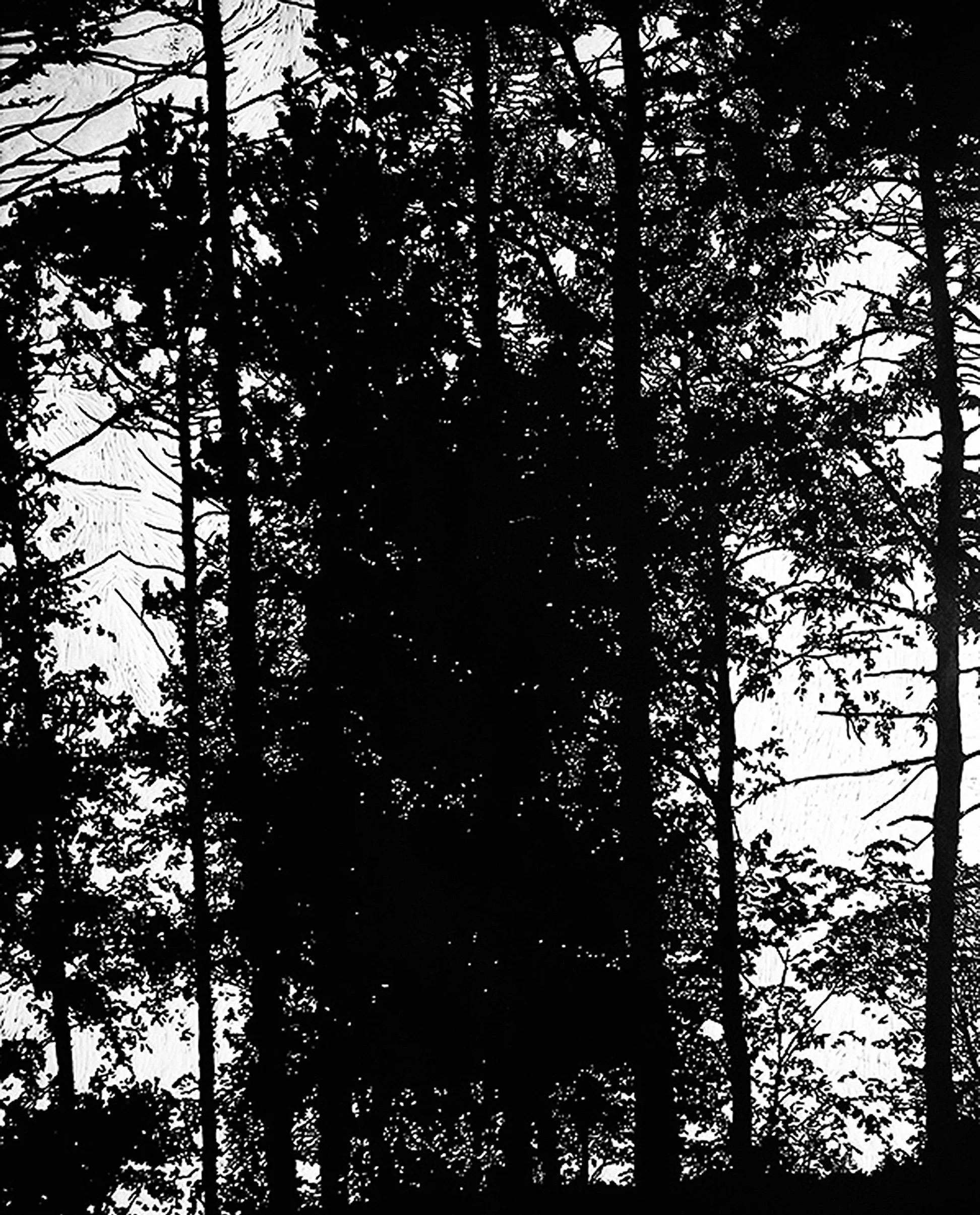 North I • Woodcut on Rives BFK Paper • 43" x 53"