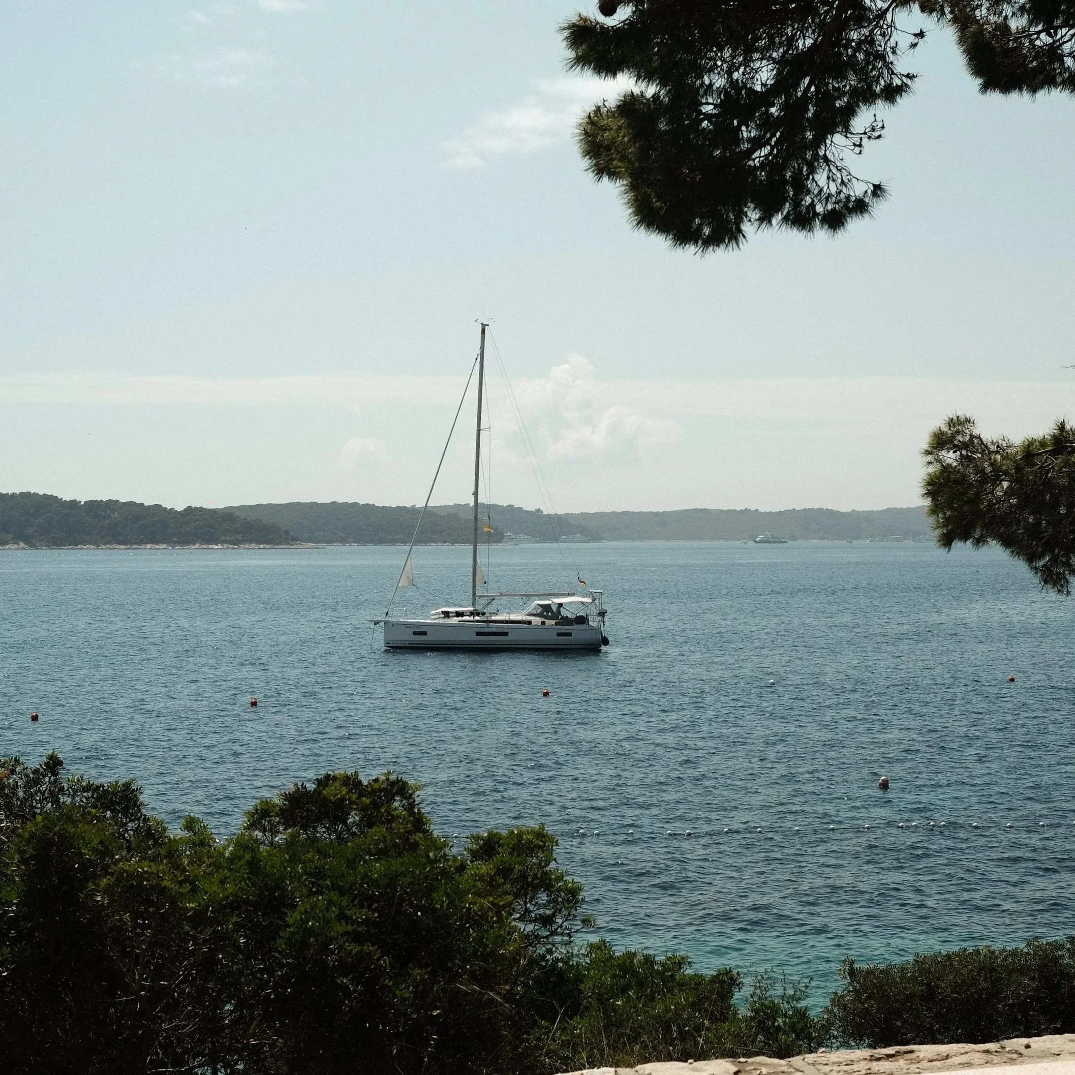 DSCF7153.jpg