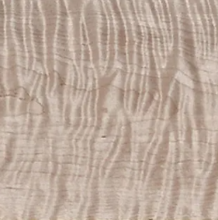 Close-up of light-colored wood grain with wavy patterns.