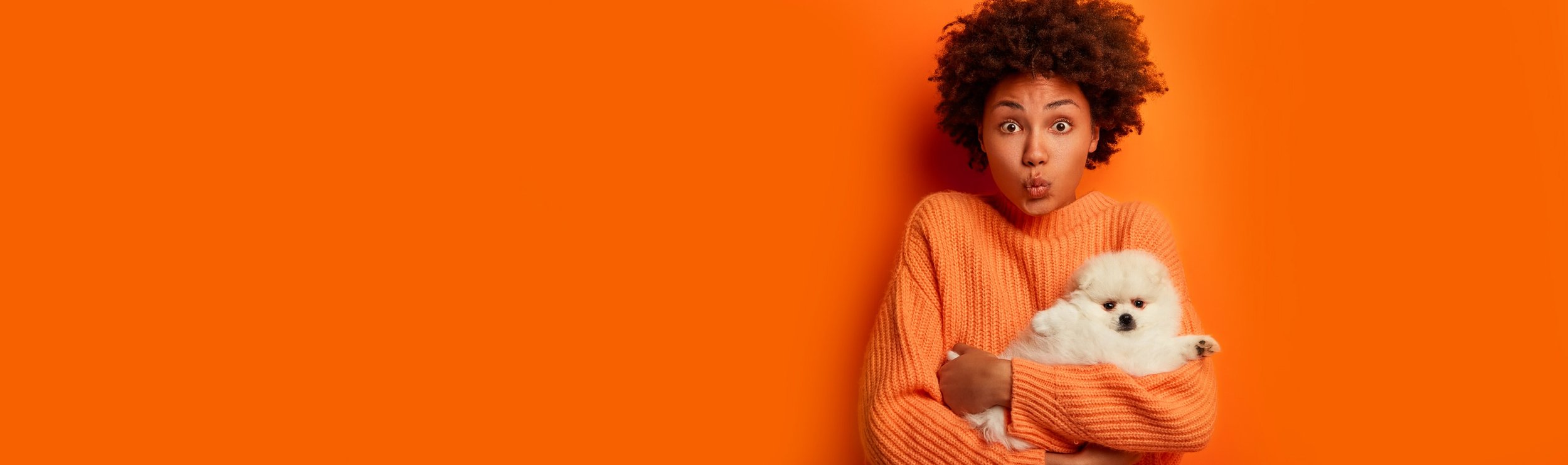 A young woman with curly hair wearing an orange sweater holding a small white fluffy dog against a vibrant orange background.