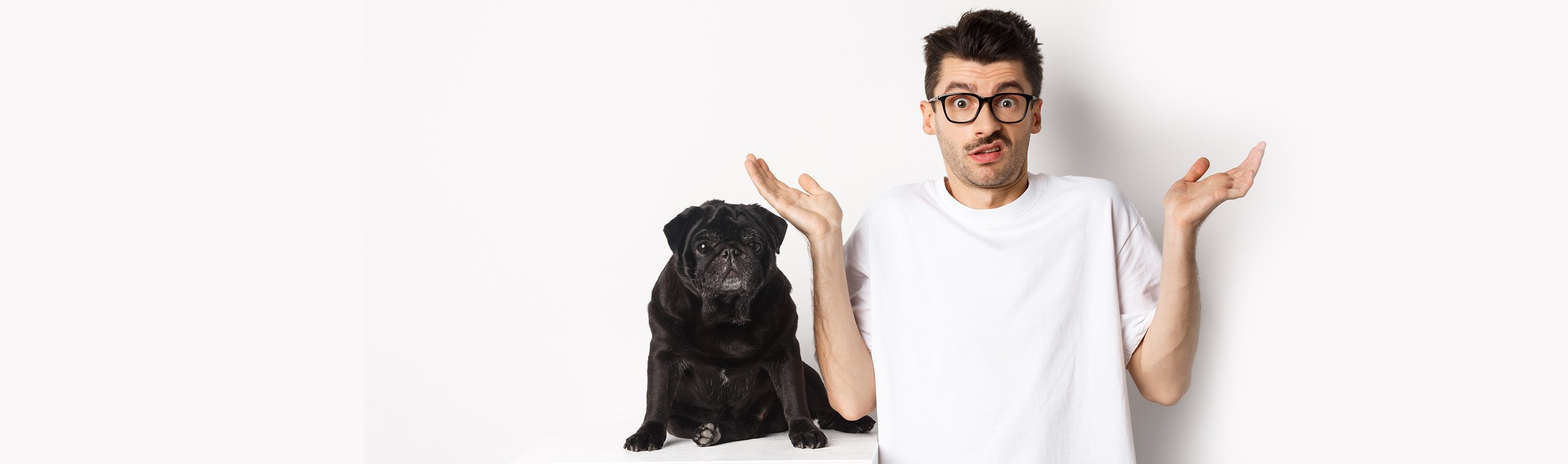 A man with dark hair and glasses making a confused expression stands next to a black pug dog on a white surface, both against a plain white background.