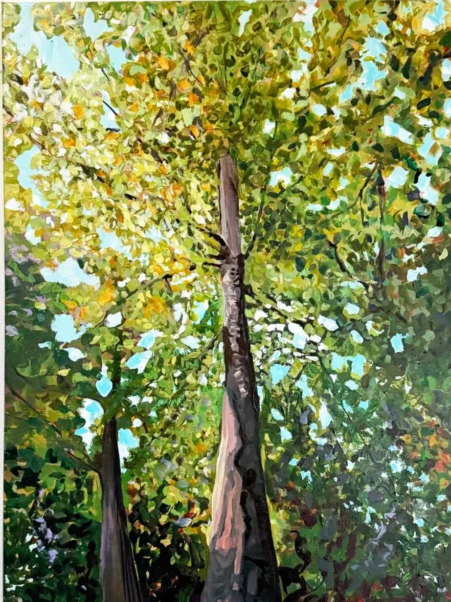 summer canopy - ink & acrylic on canvas 