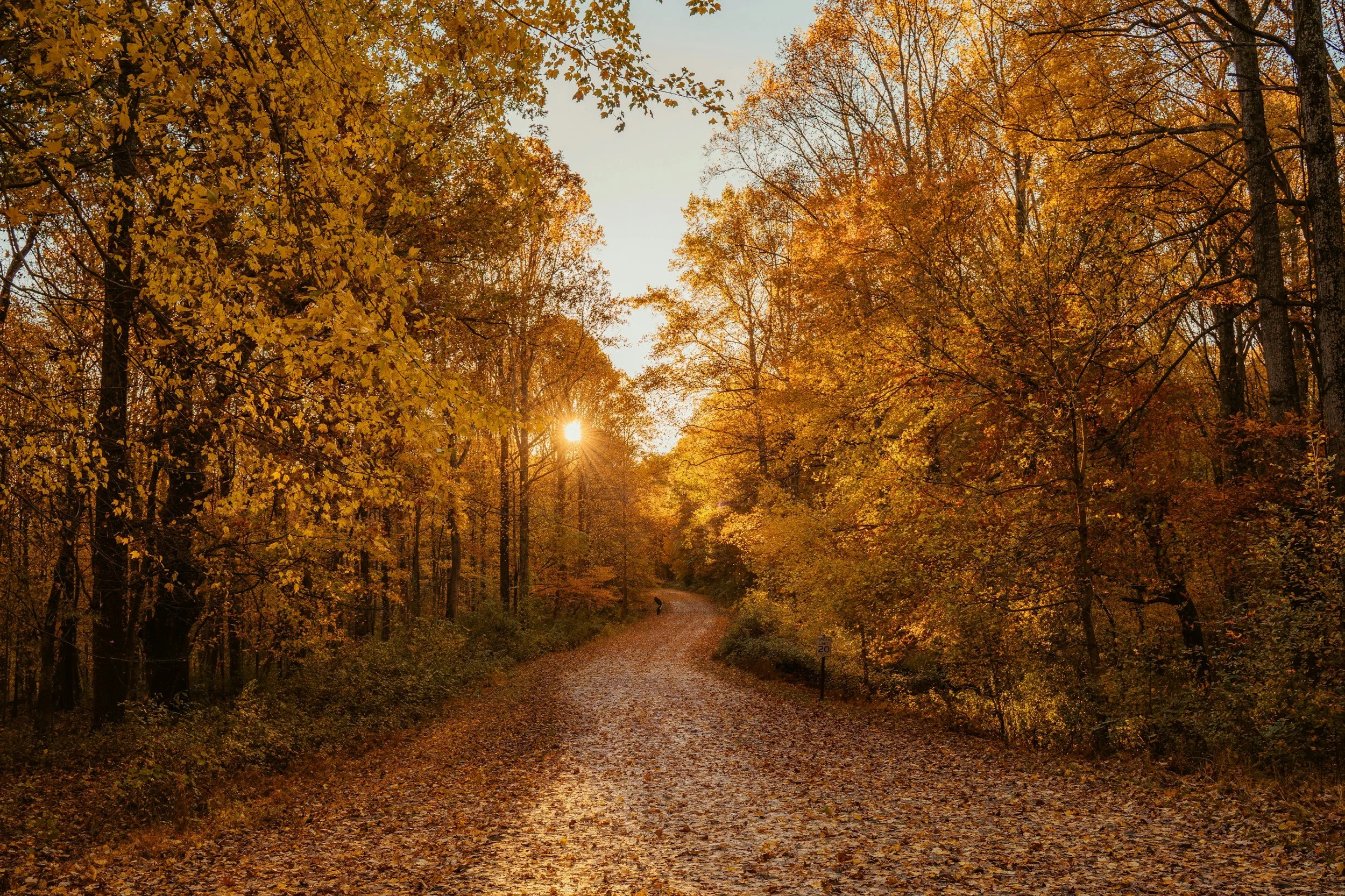 The October Effect: When the Finish Line Starts Feeling Too Close