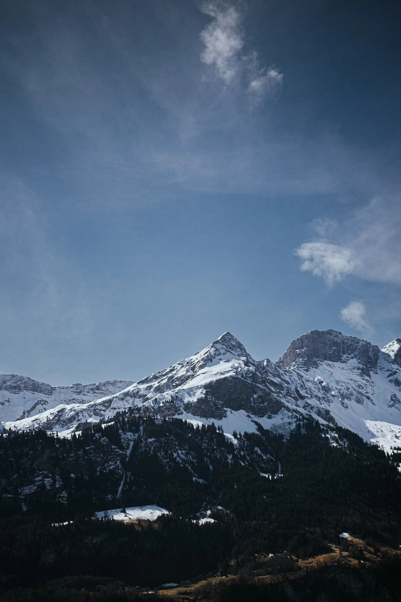IMG_6668.jpg