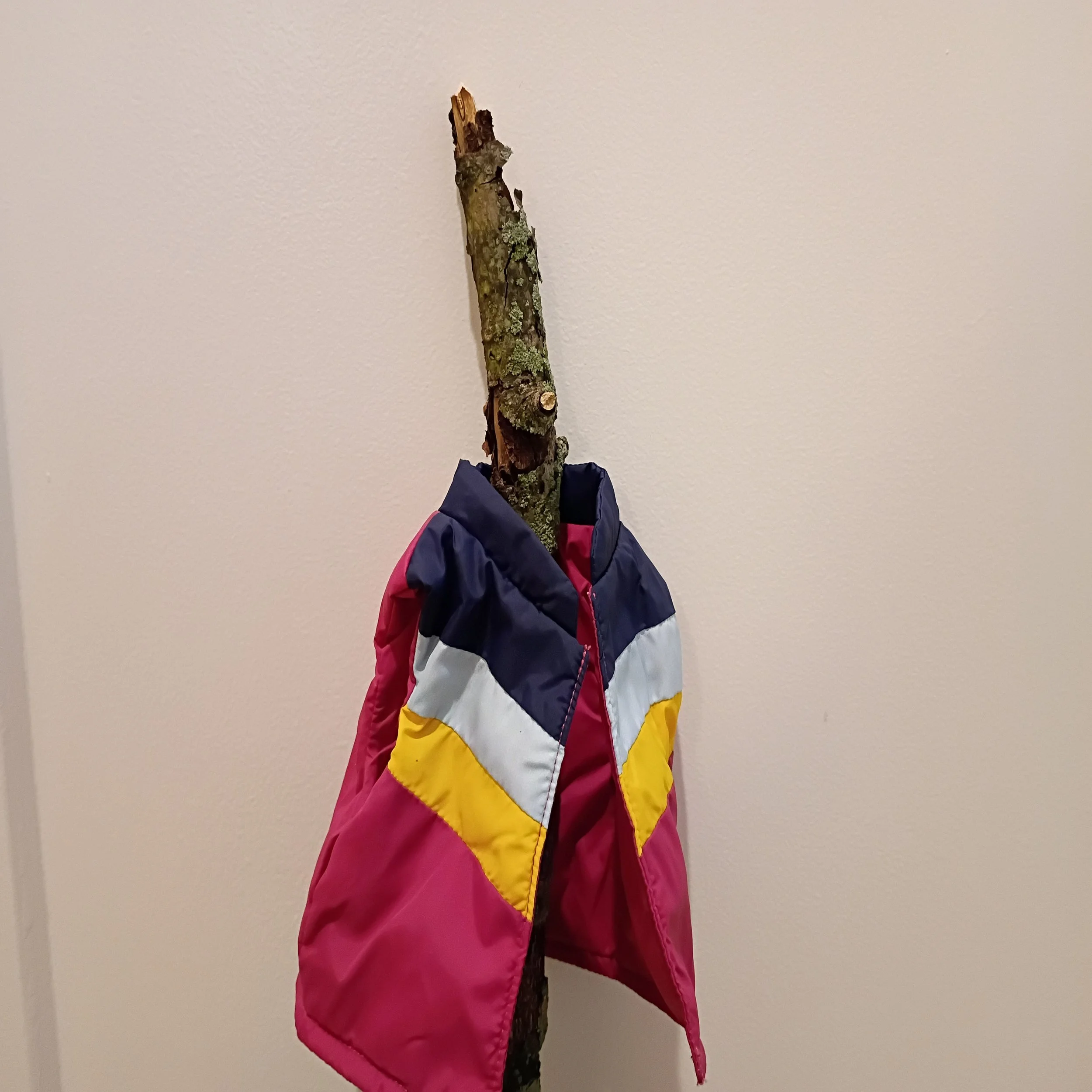 Learn More About Walnut