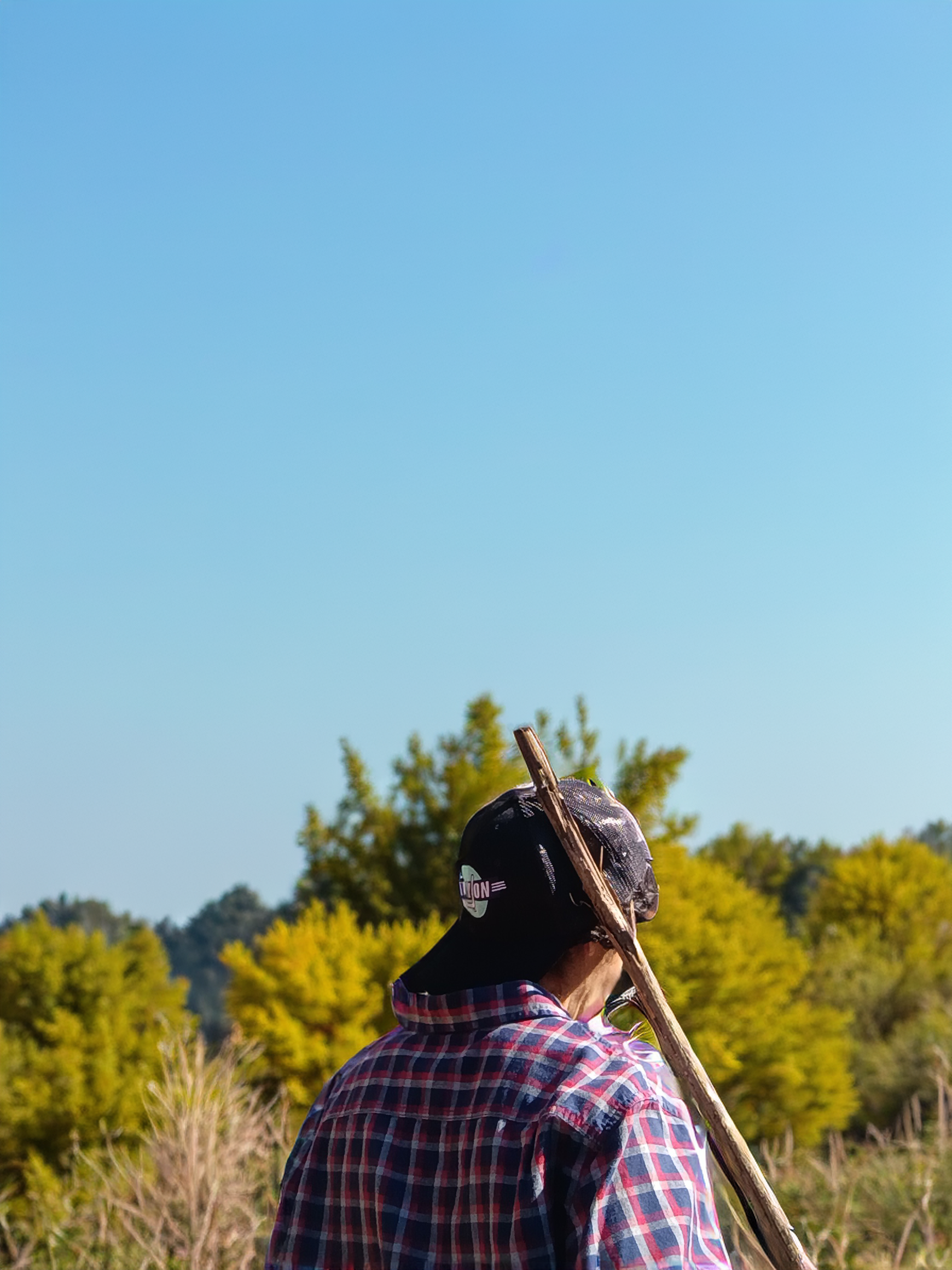 Person wearing a plaid shirt and a baseball cap with a logo, holding a long wooden stick or staff, standing outdoors in front of trees with yellow and green leaves on a clear blue sky day.