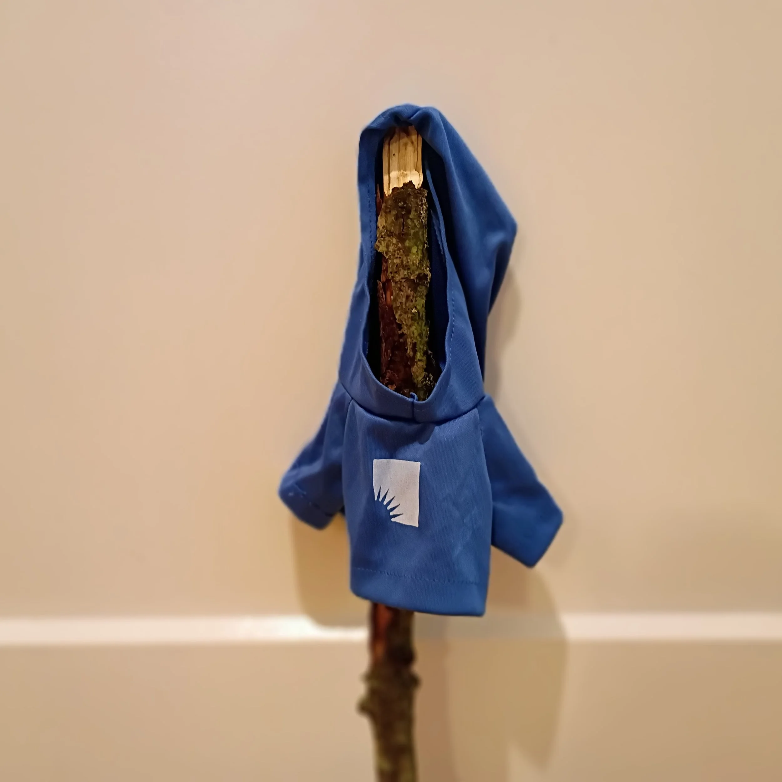 Learn More About Caleb