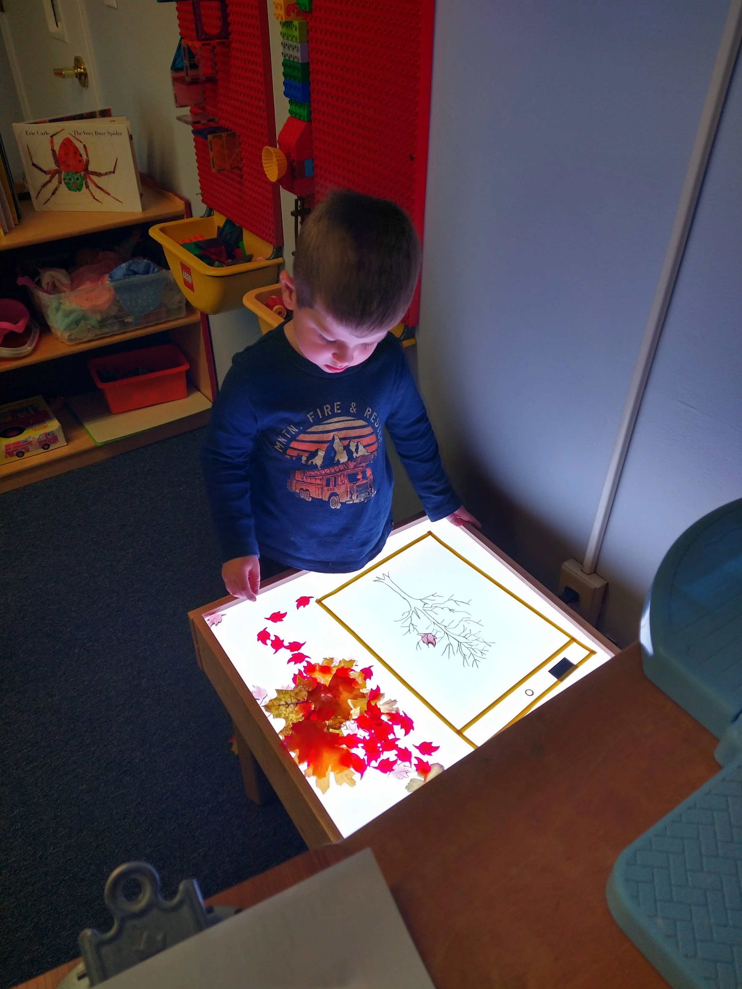 A young boy looking at a light-up table with an illustration of a tree with bare branches and colorful autumn leaves on it.