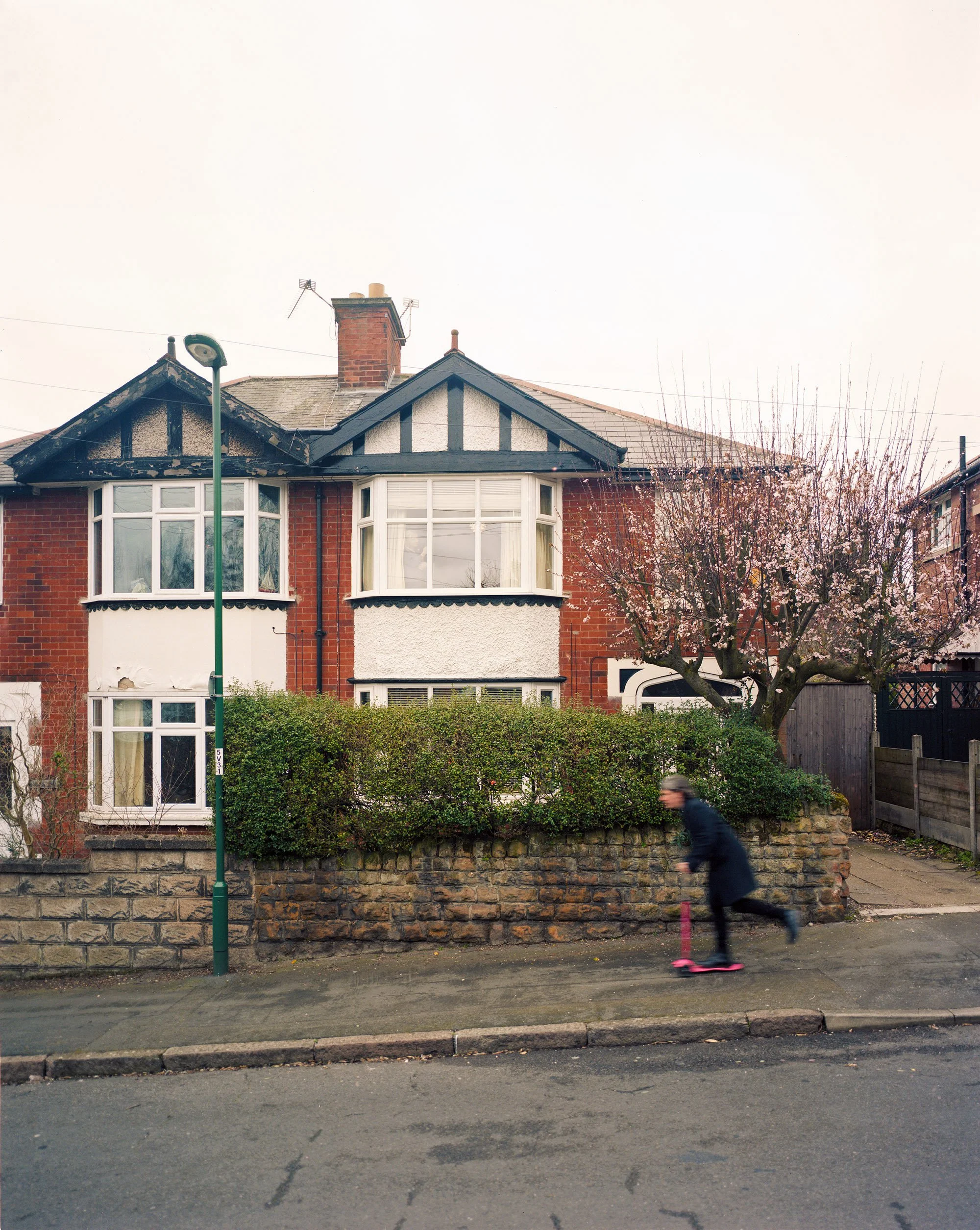 Thornsail001 EditAug16.jpg