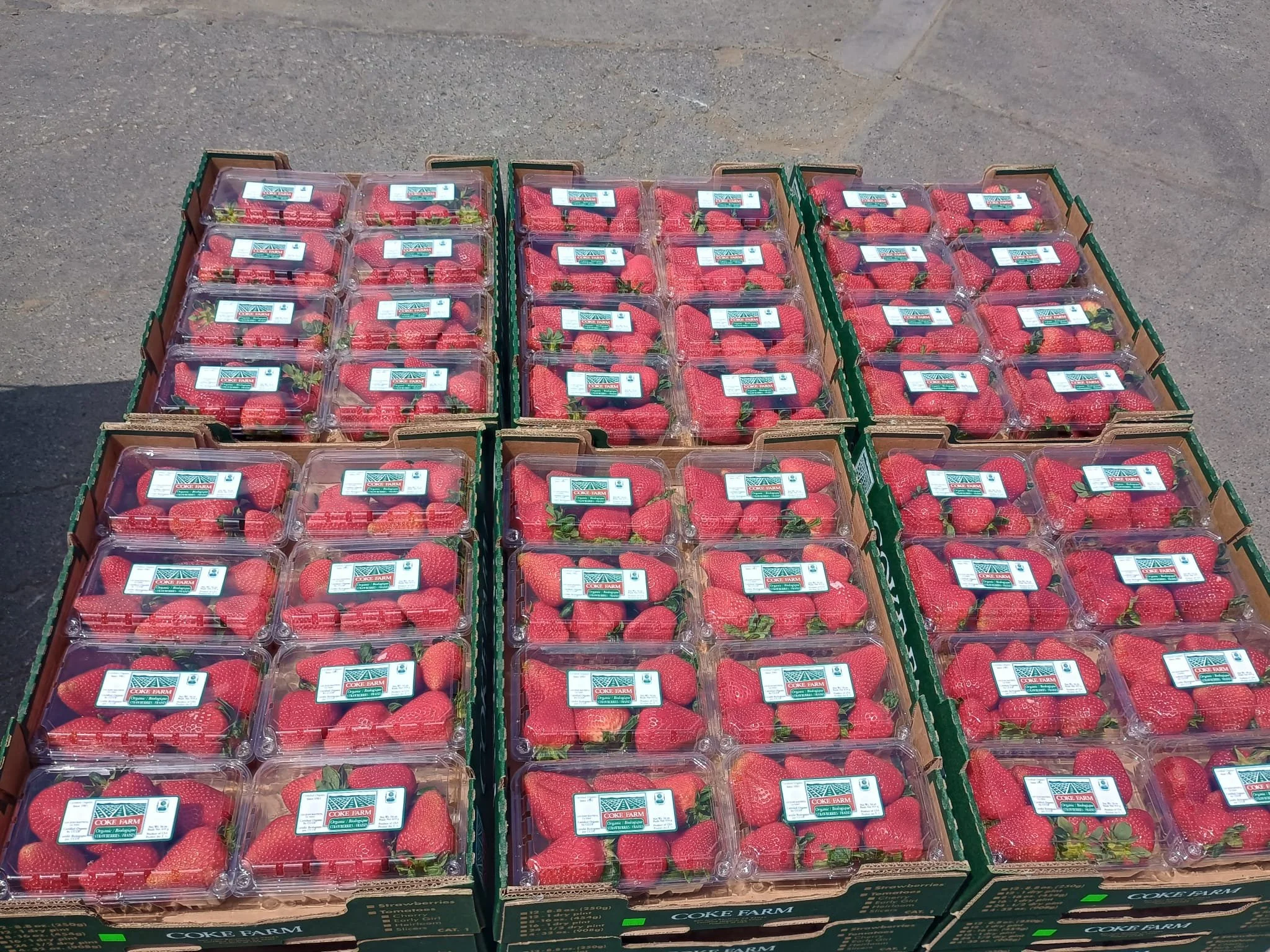 organic strawberry