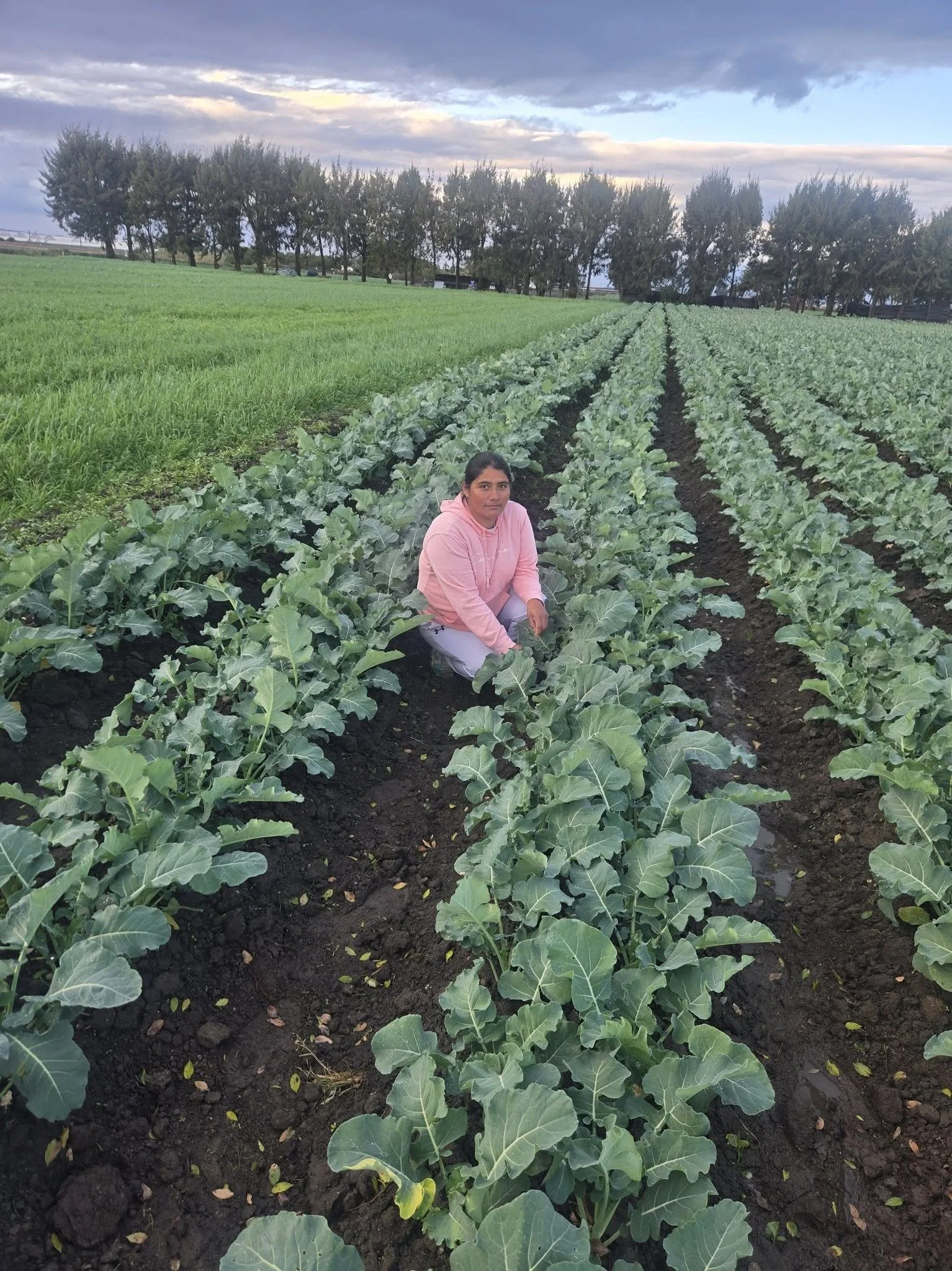 woman farmer at the field