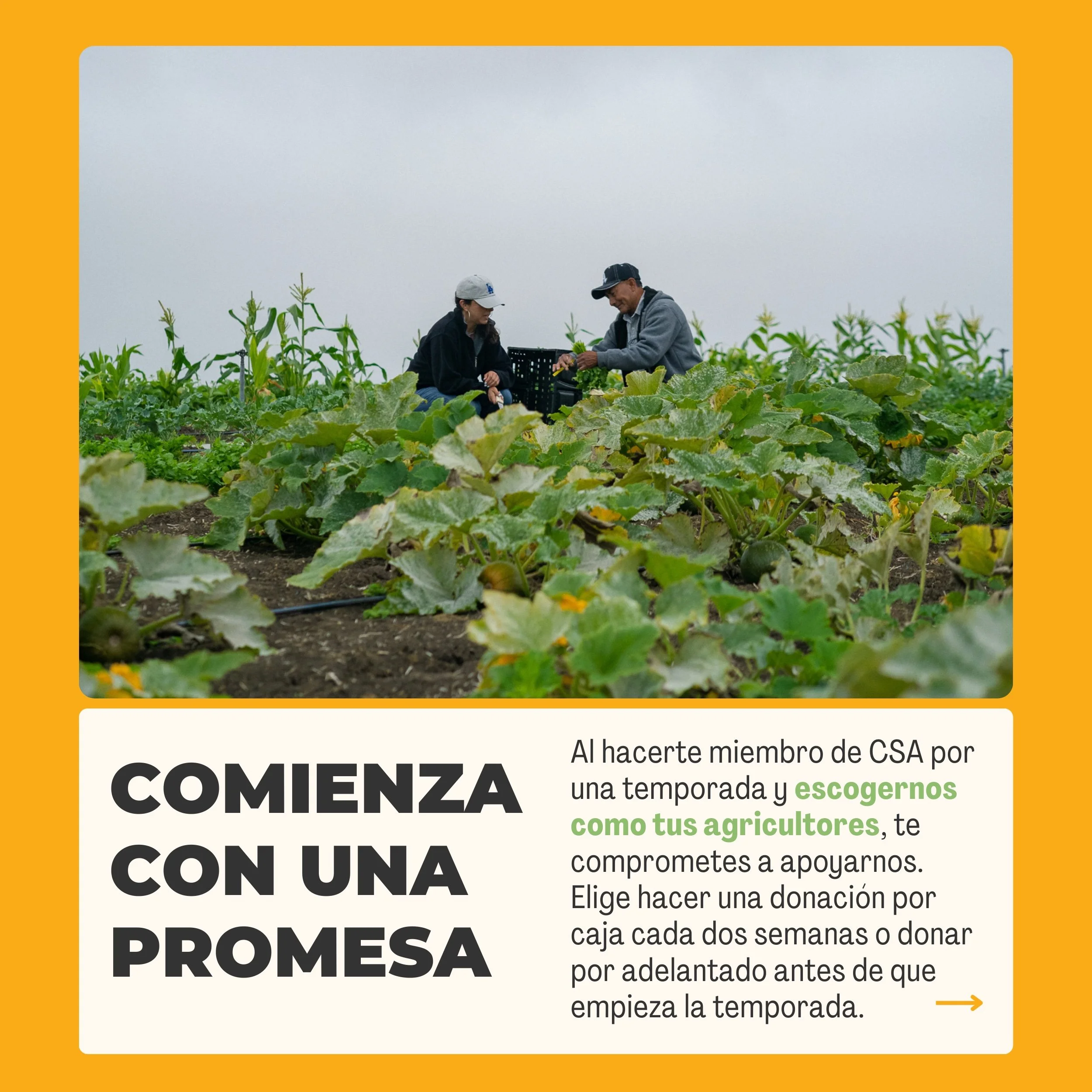 2-SP-CSA-QueEs-ECF.jpg