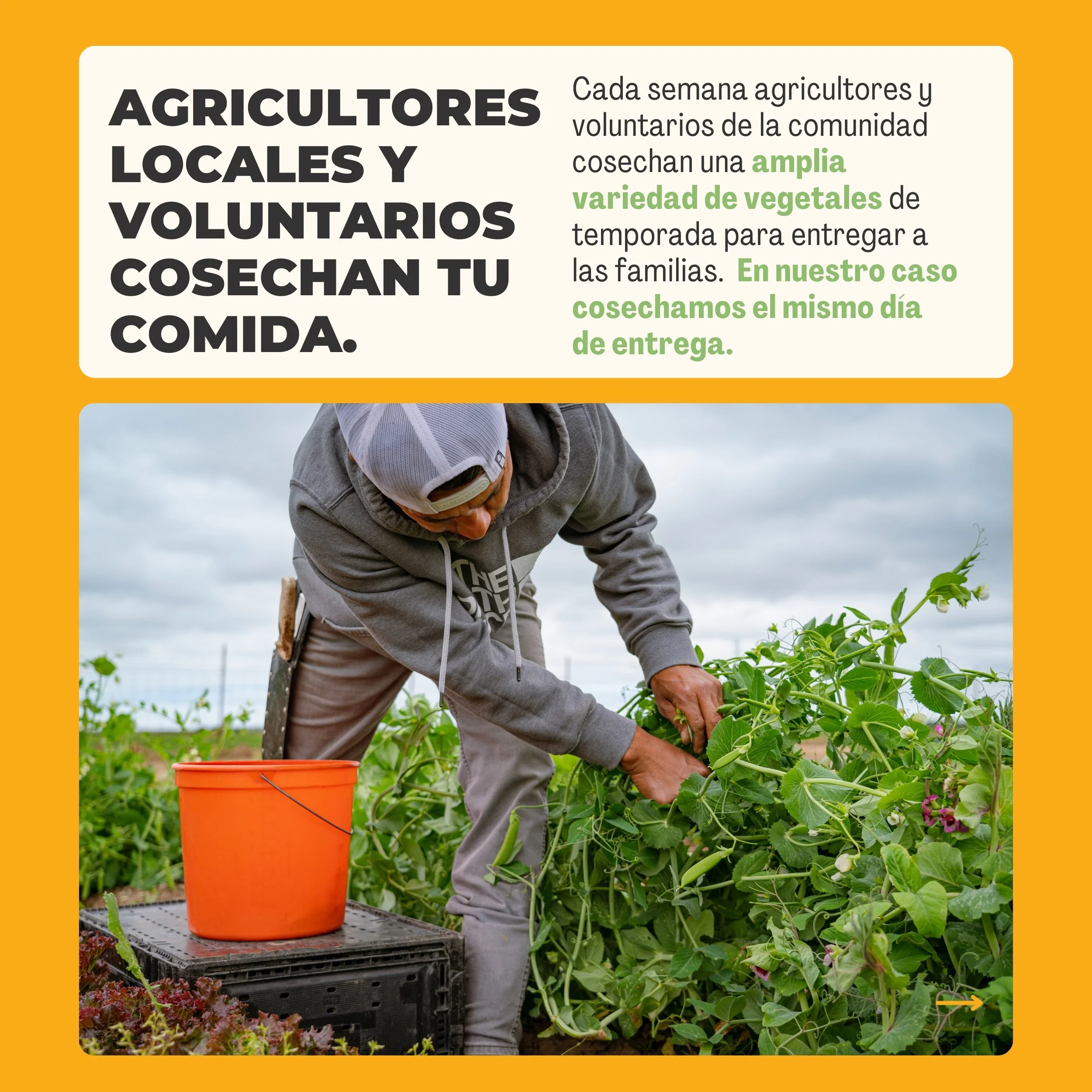 3-SP-CSA-QueEs-ECF.jpg