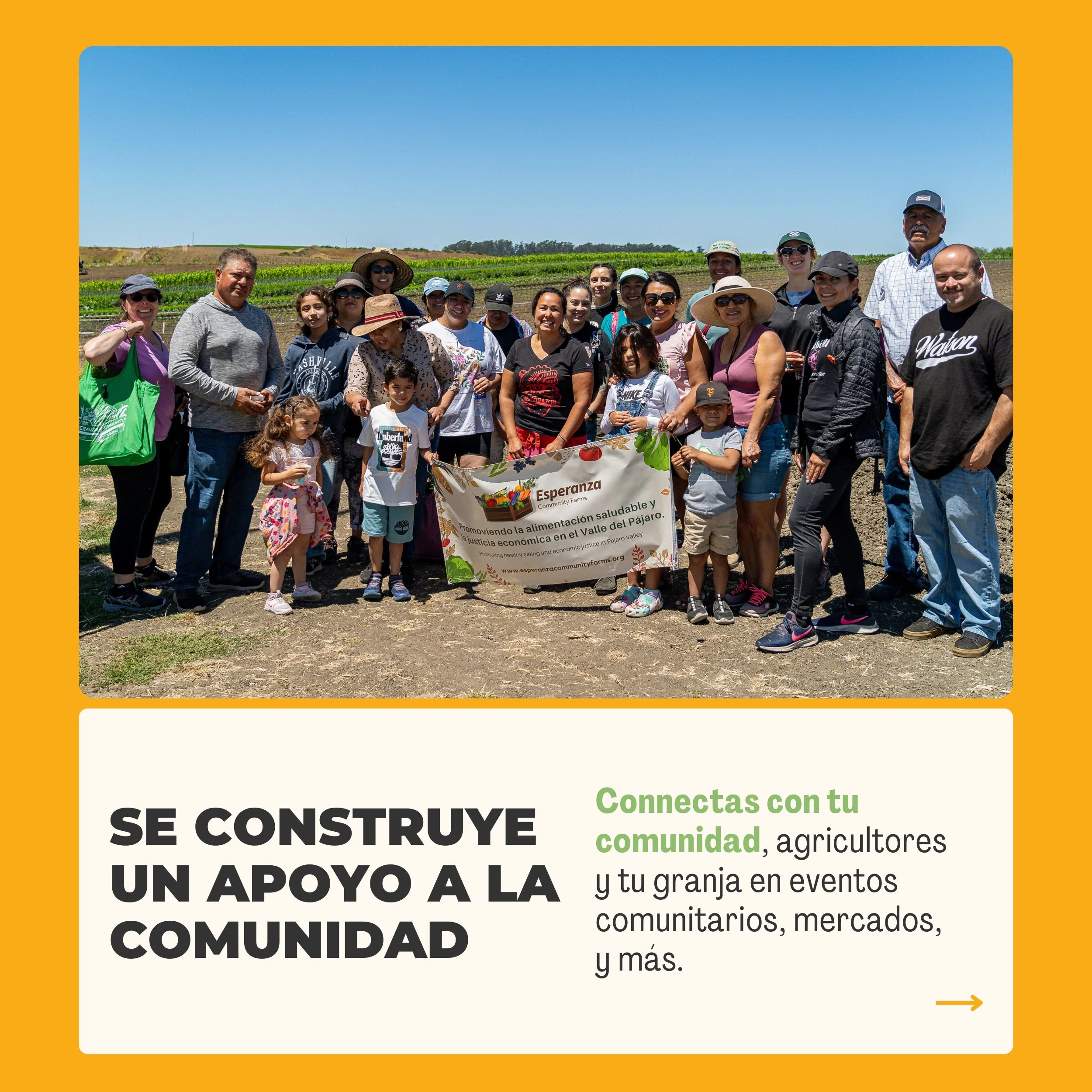 5-SP-CSA-QueEs-ECF.jpg