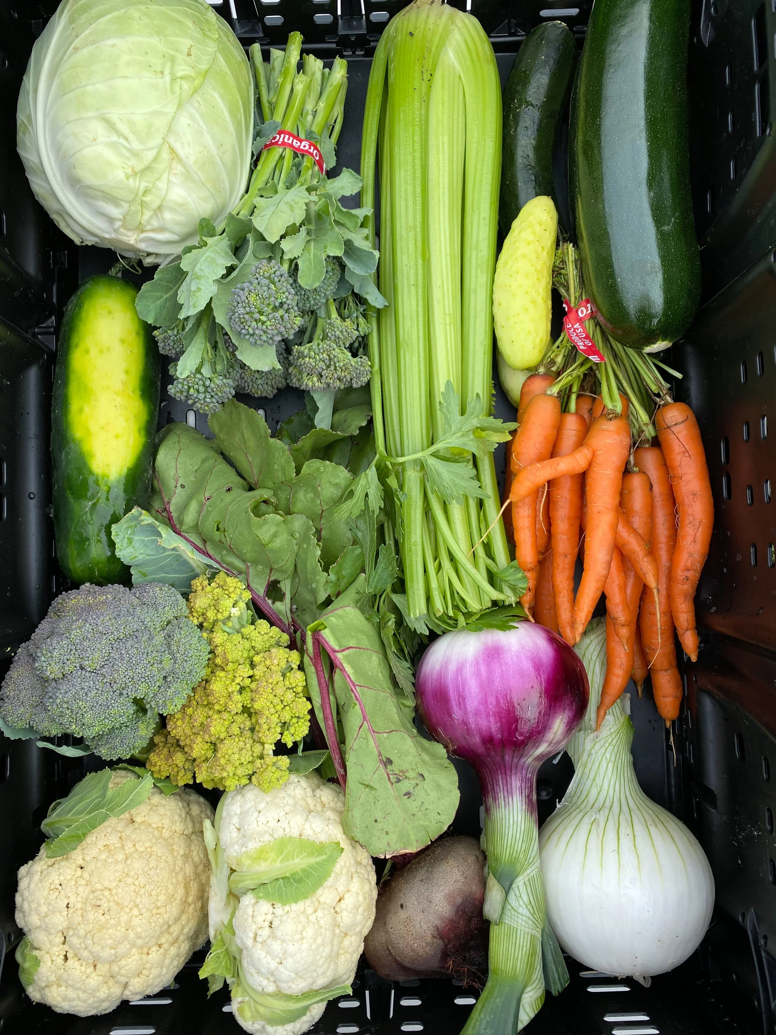 caja6172(1).jpg