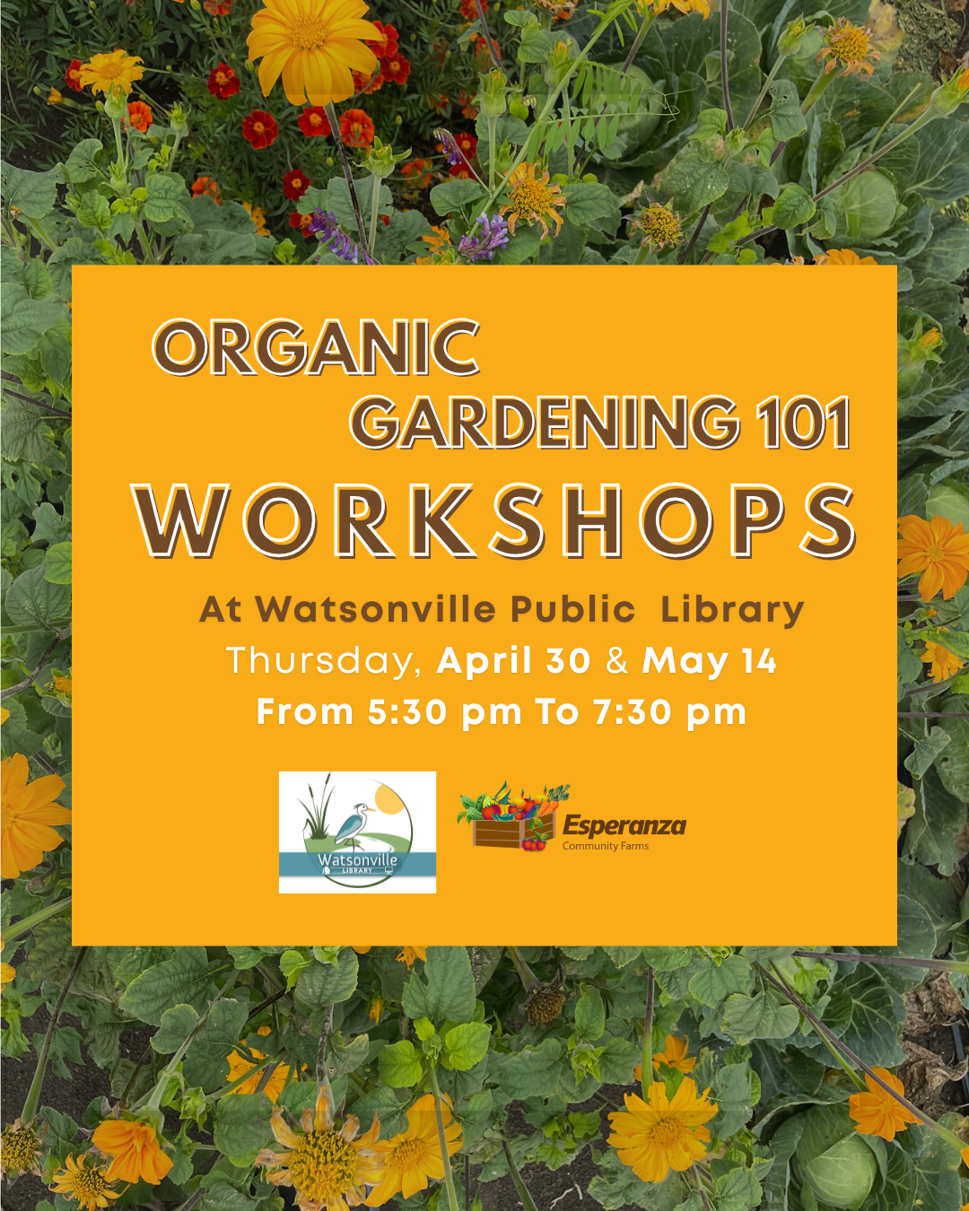 Organic Gardening Basics Workshops