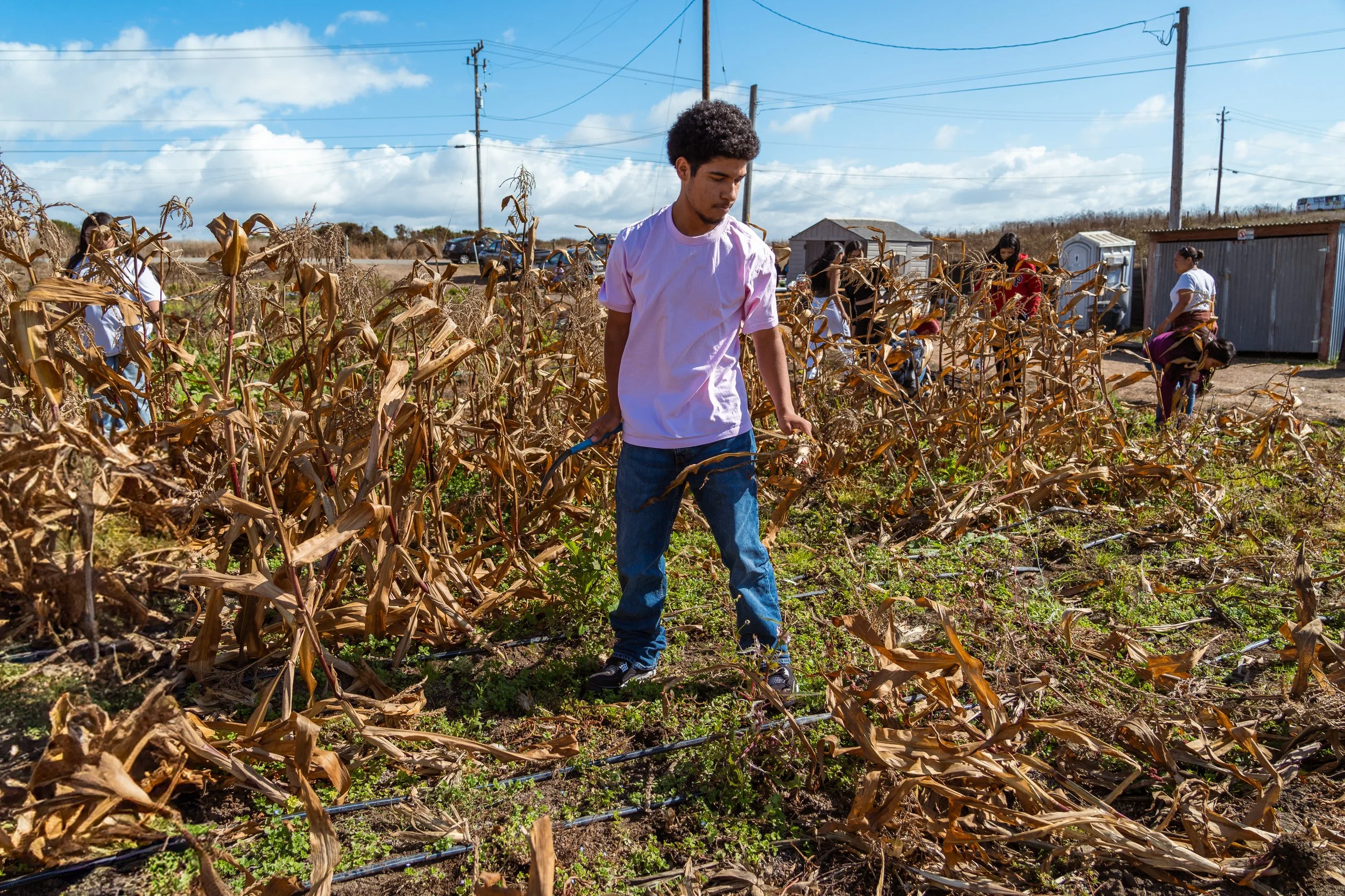 Calabazas_PVHS_at_Farm-4.jpg
