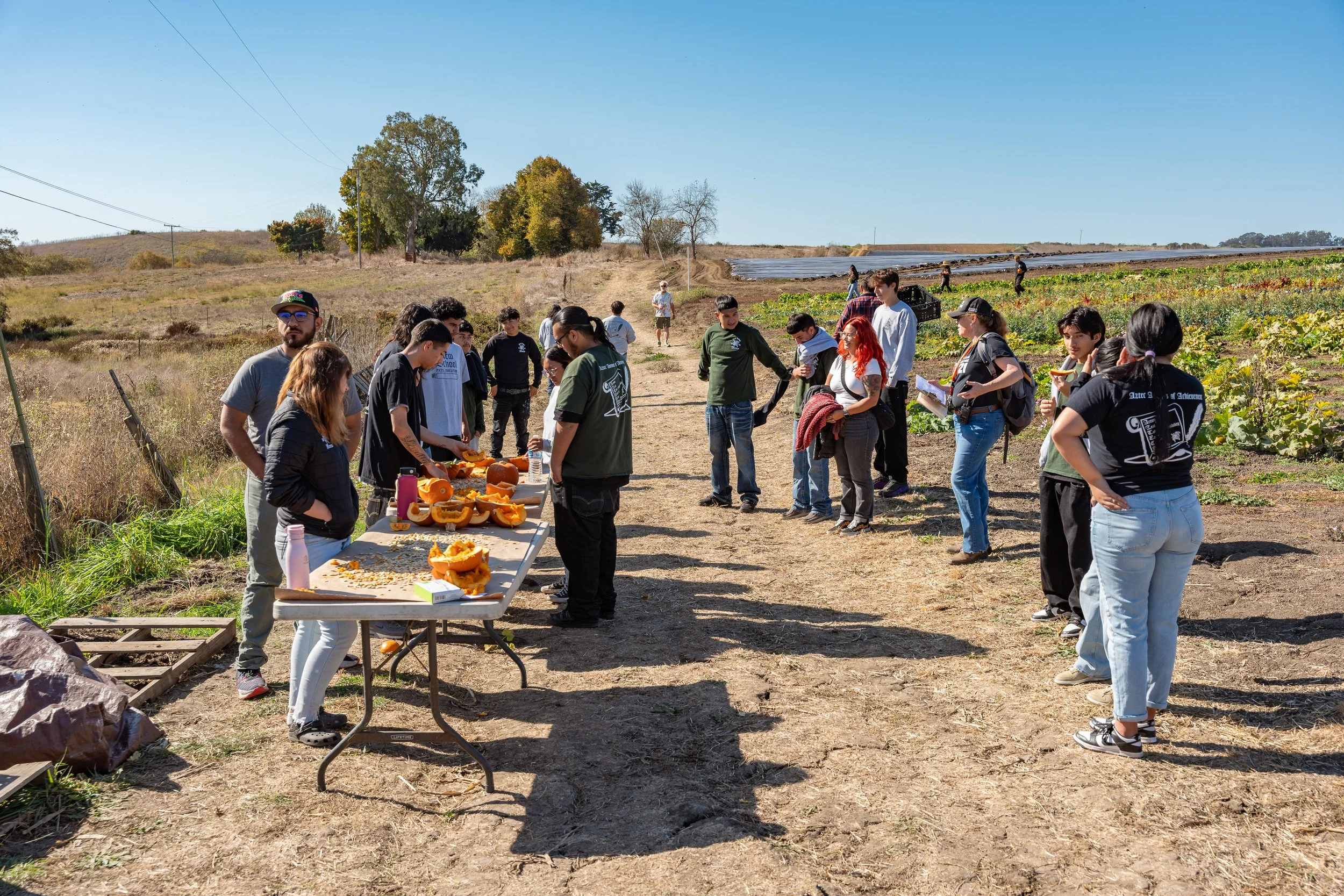 NewSchool-AtFarm-ECF1.jpg