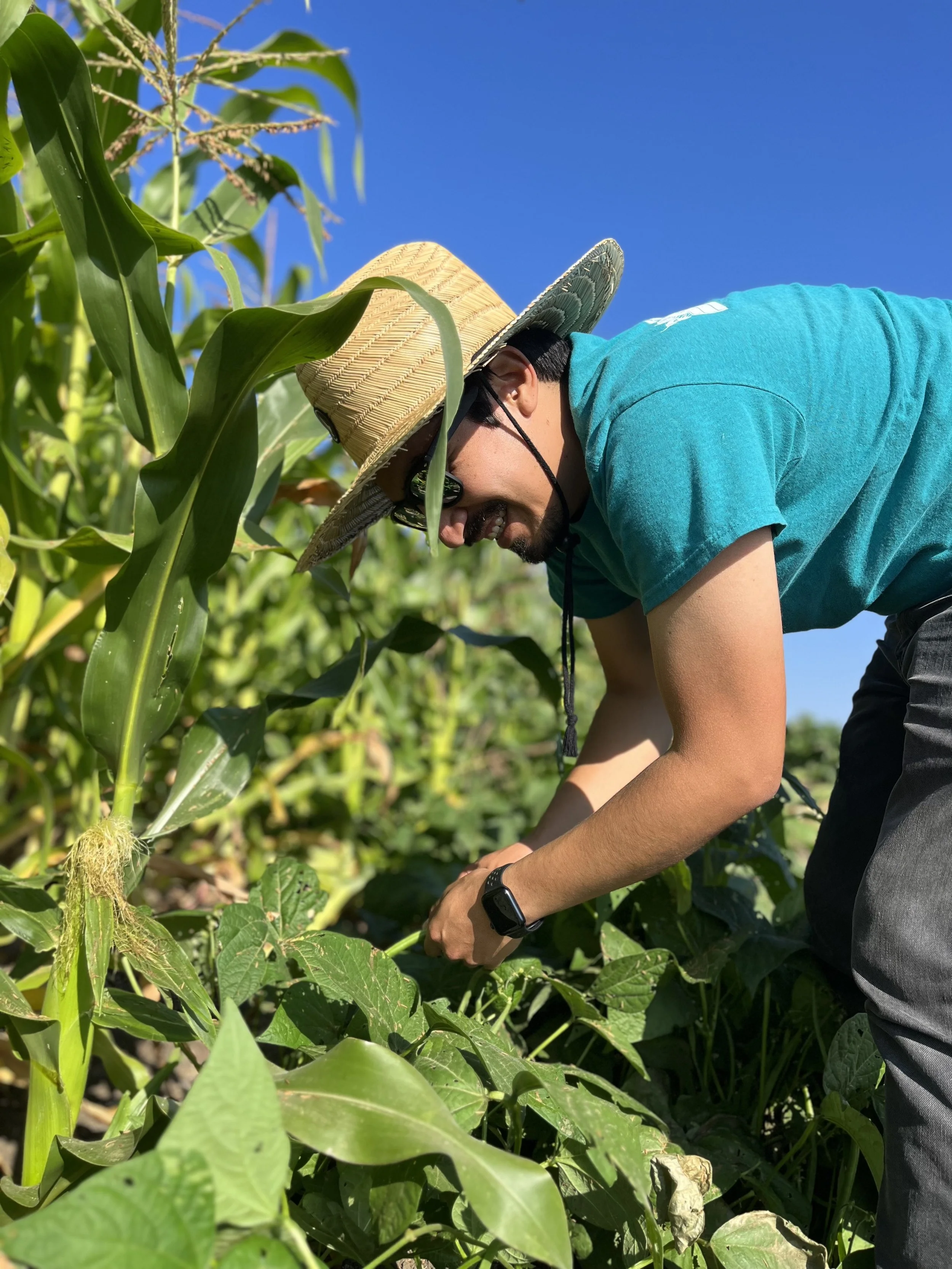 harvesting-season 2023-ecf.JPG