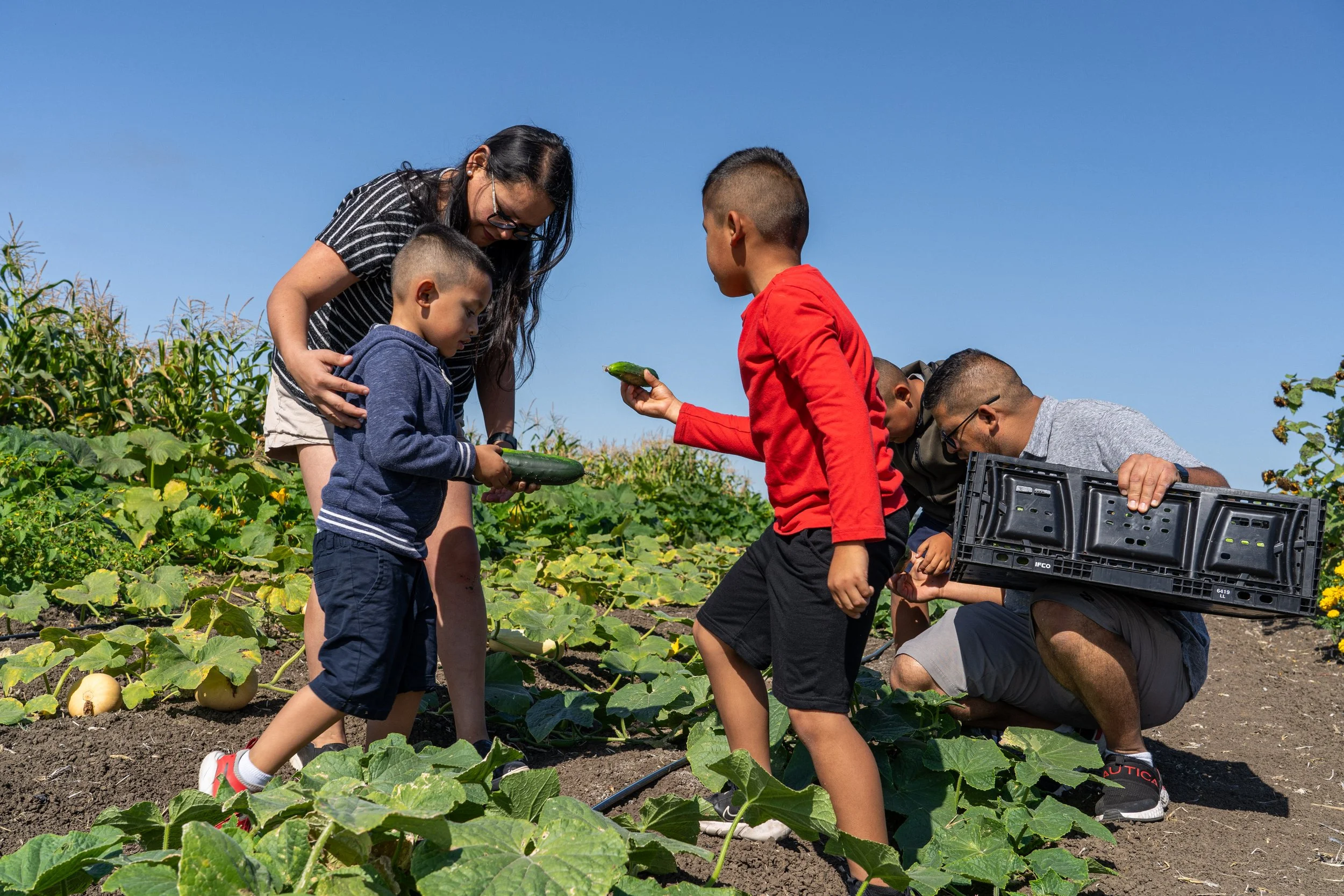 _DSC7133.jpg