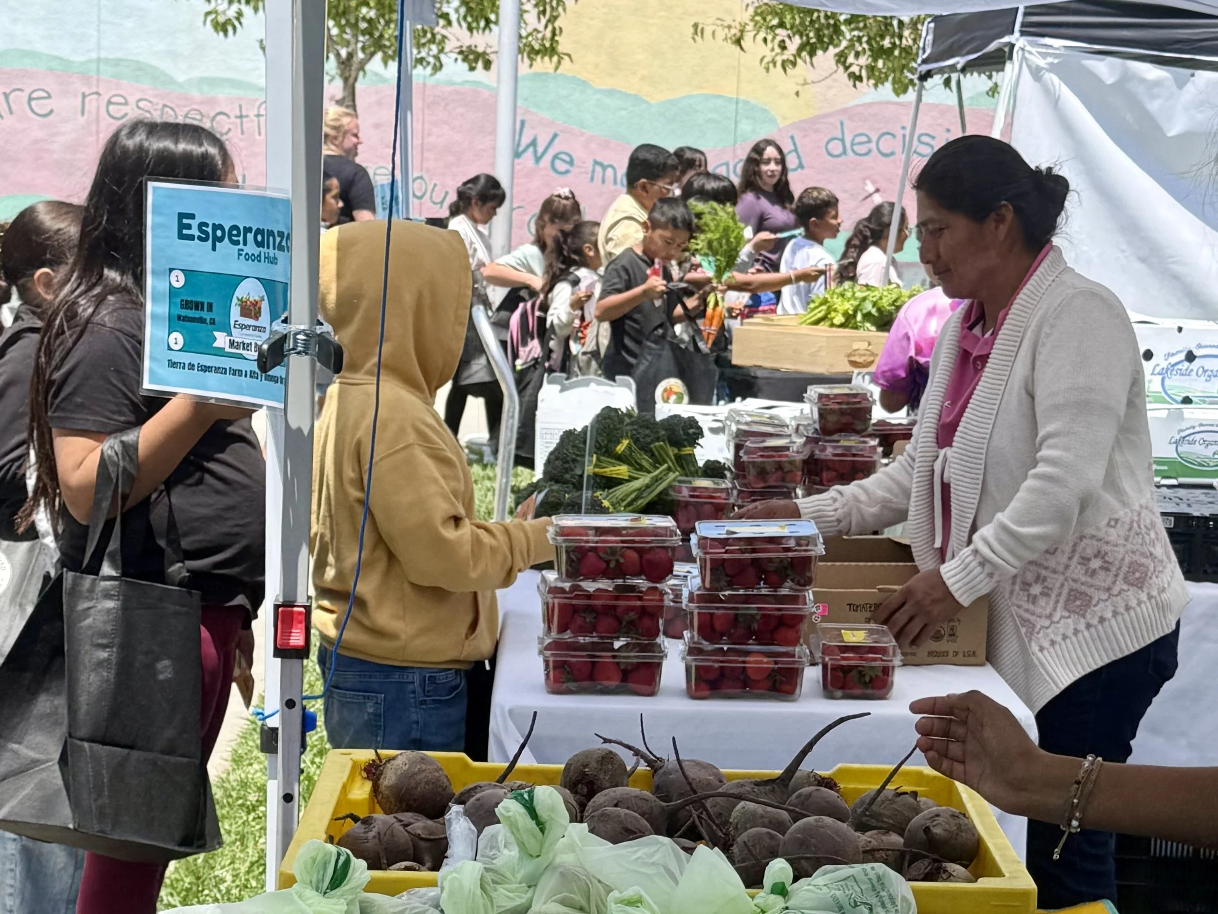 some students at school in a farmers market