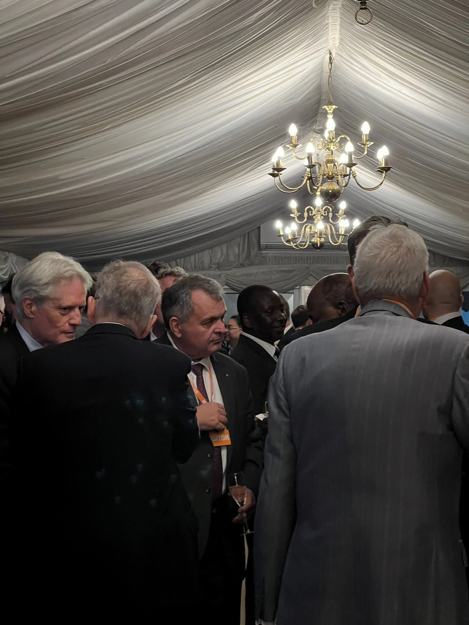 UK and African companies networking at Westminster Africa Business Group WABG event