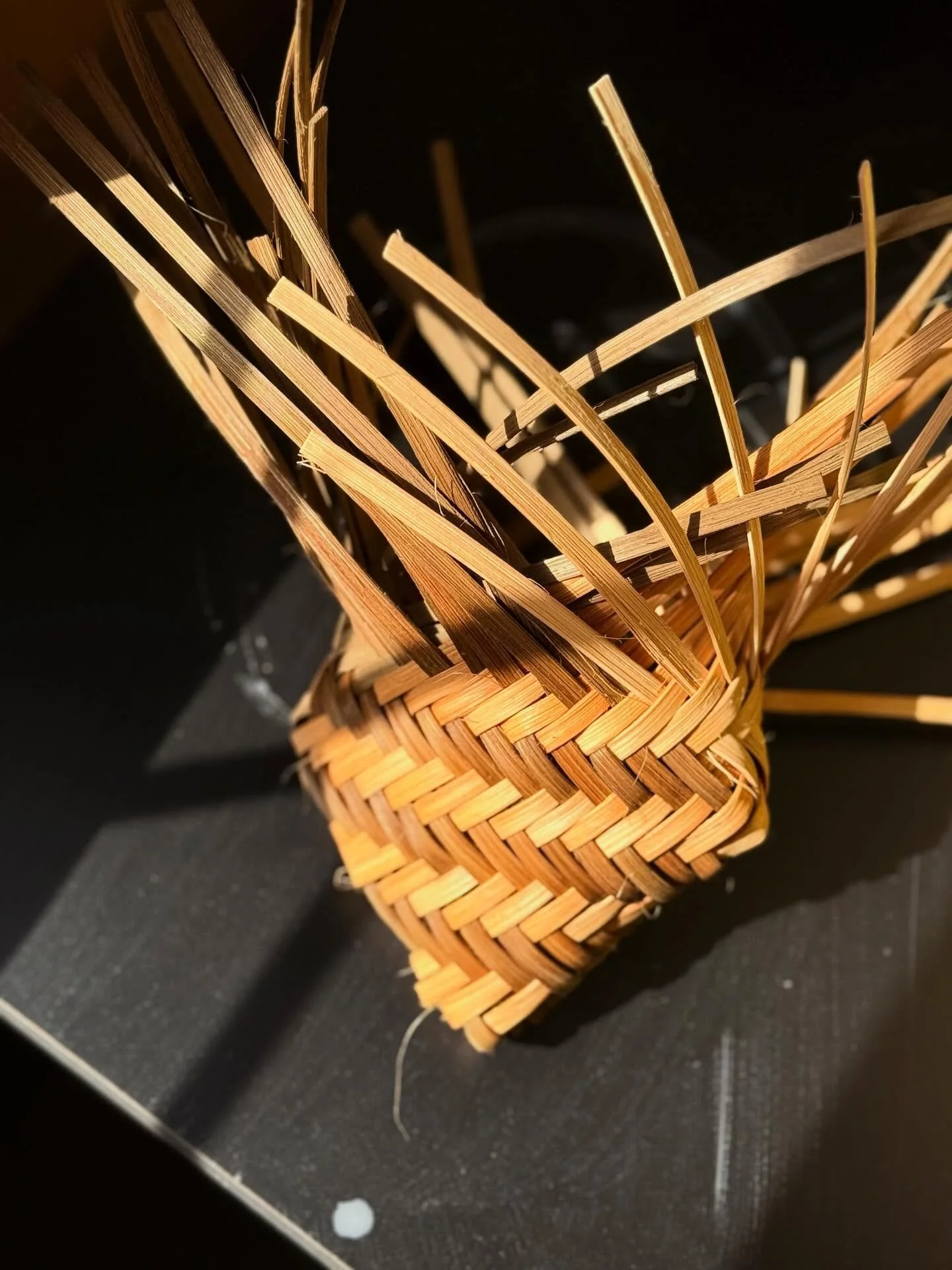 Sat down to weave and the light caught it just right. That butternut dye shining like it&rsquo;s got its own soul.
#nativeart #basketweaving #naturedye #nativeartist