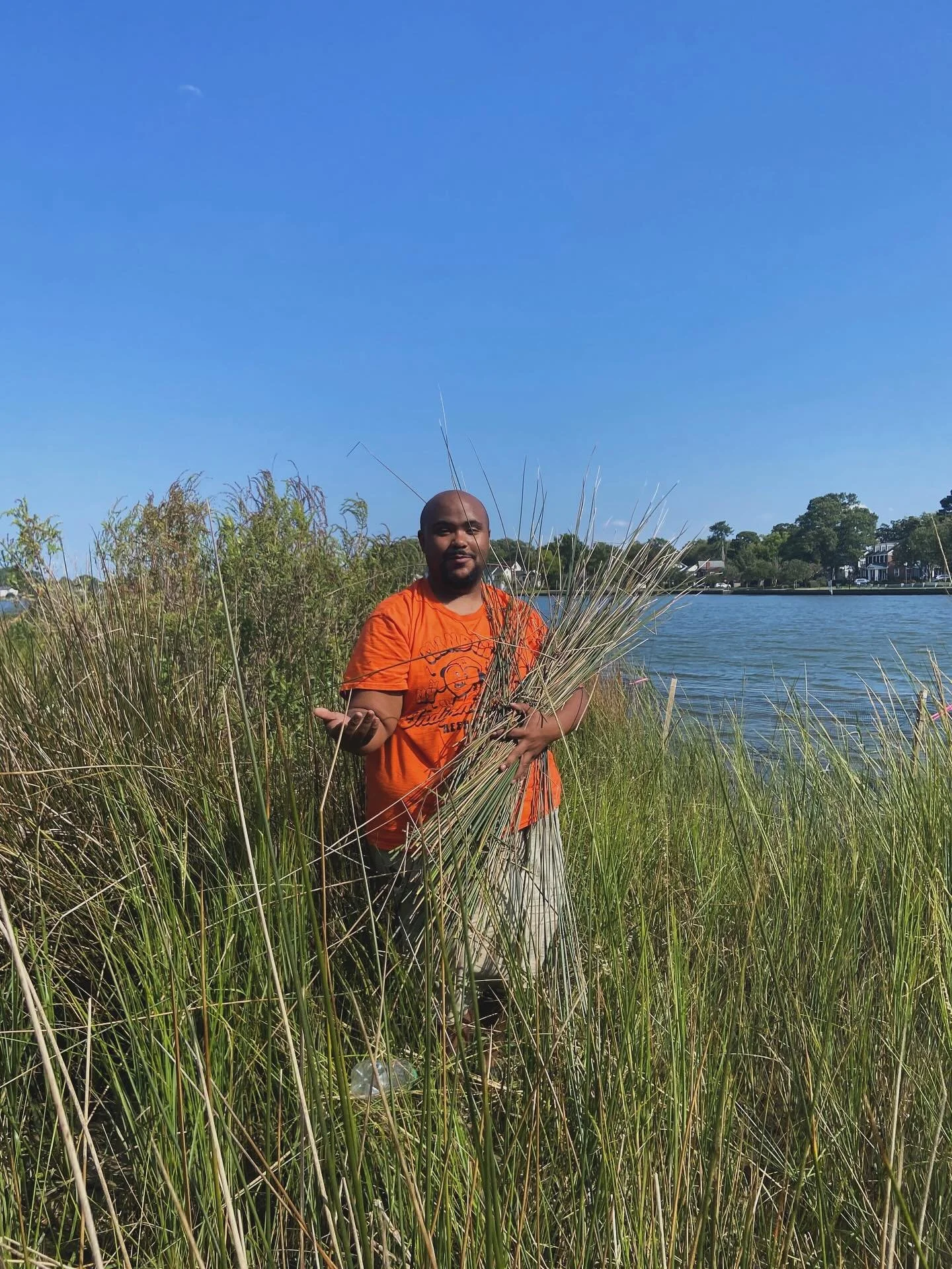 Out on the river harvesting rush. Felt amazing knowing I was on the same waterways my ancestors moved through. But the rush tells its own story &mdash; development has stunted the size of the plants, and invasive phragmites are choking out where it o