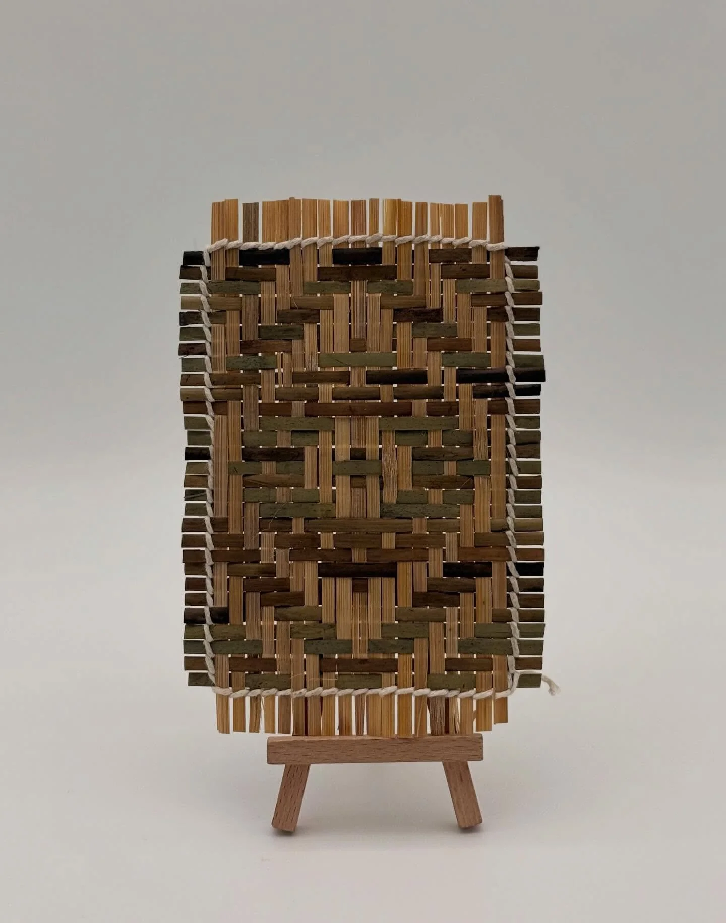 Dismal Swamp

The Great Dismal Swamp is part of the ancestral homeland of the Nansemond and has long been shared with neighboring nations including the Chowanke, Tuscarora, and other Indigenous communities of the region.

This weaving is surrounded b