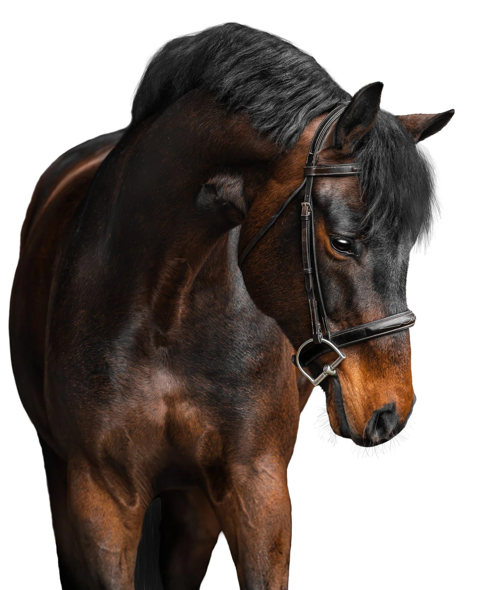 AP7_1847-Enhanced-NR-Edit.jpg