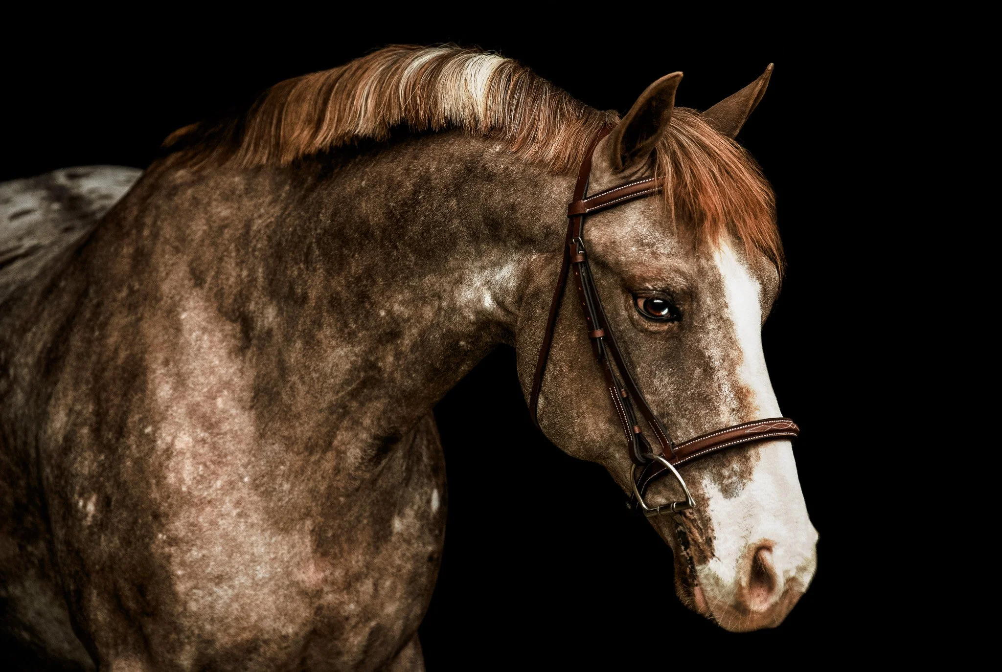AP7_1407.2.jpg