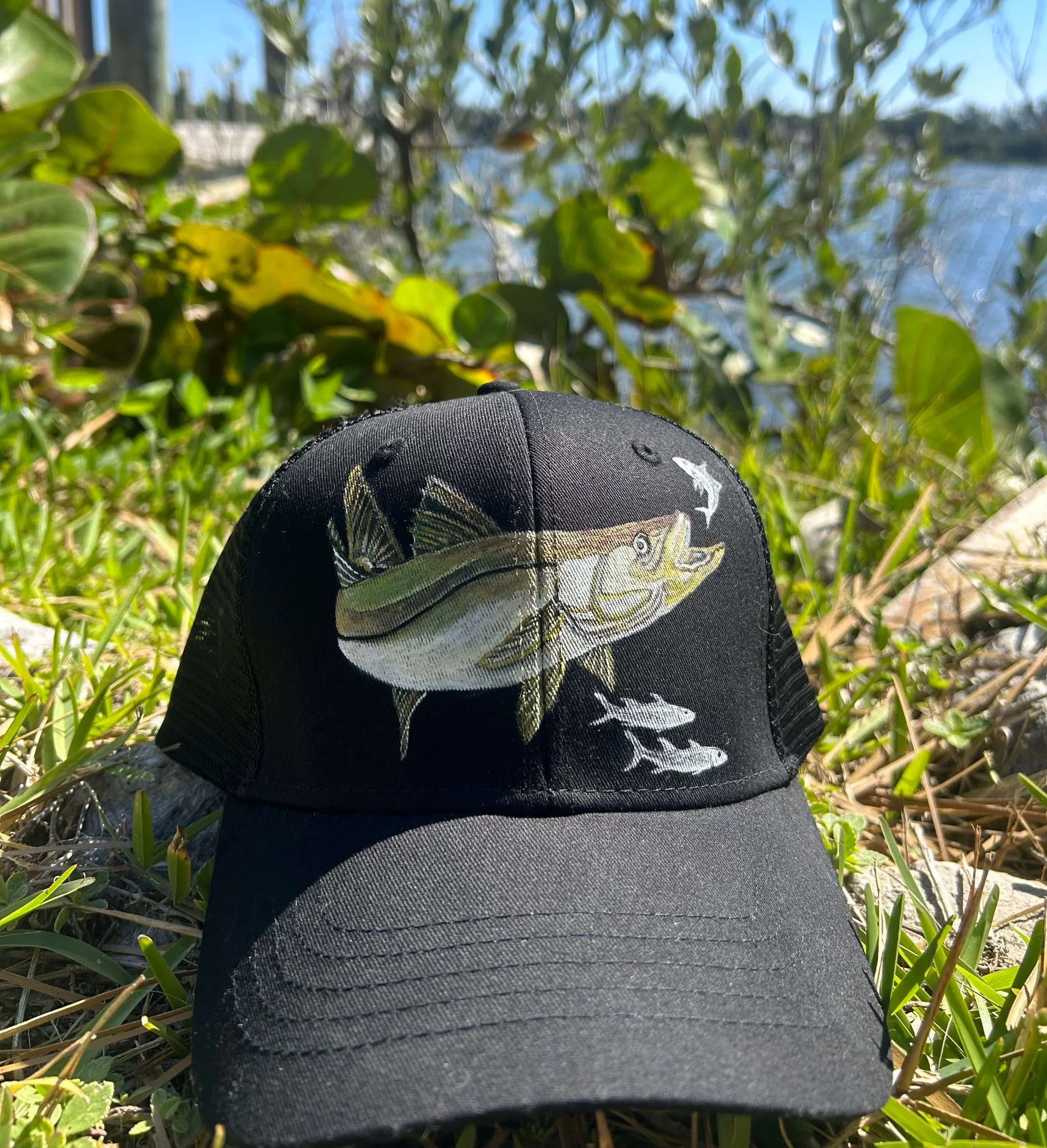 SNOOK
