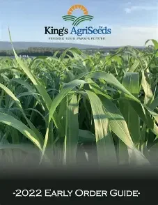 Close-up of green corn plants in a field under a blue sky, with a logo in the top left corner and text at the bottom indicating it is the 2022 Early Order Guide for King's AgriSeeds.