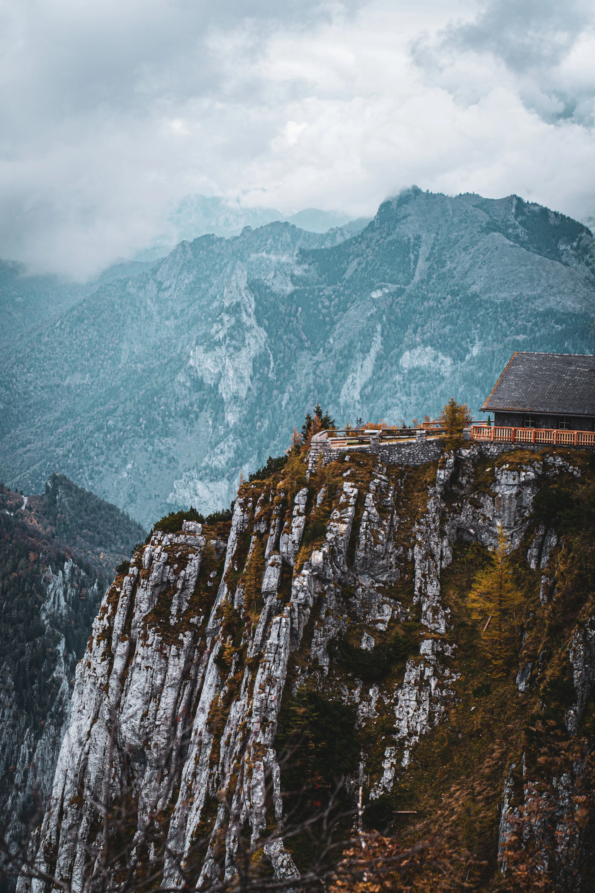 _A7C8780.jpg