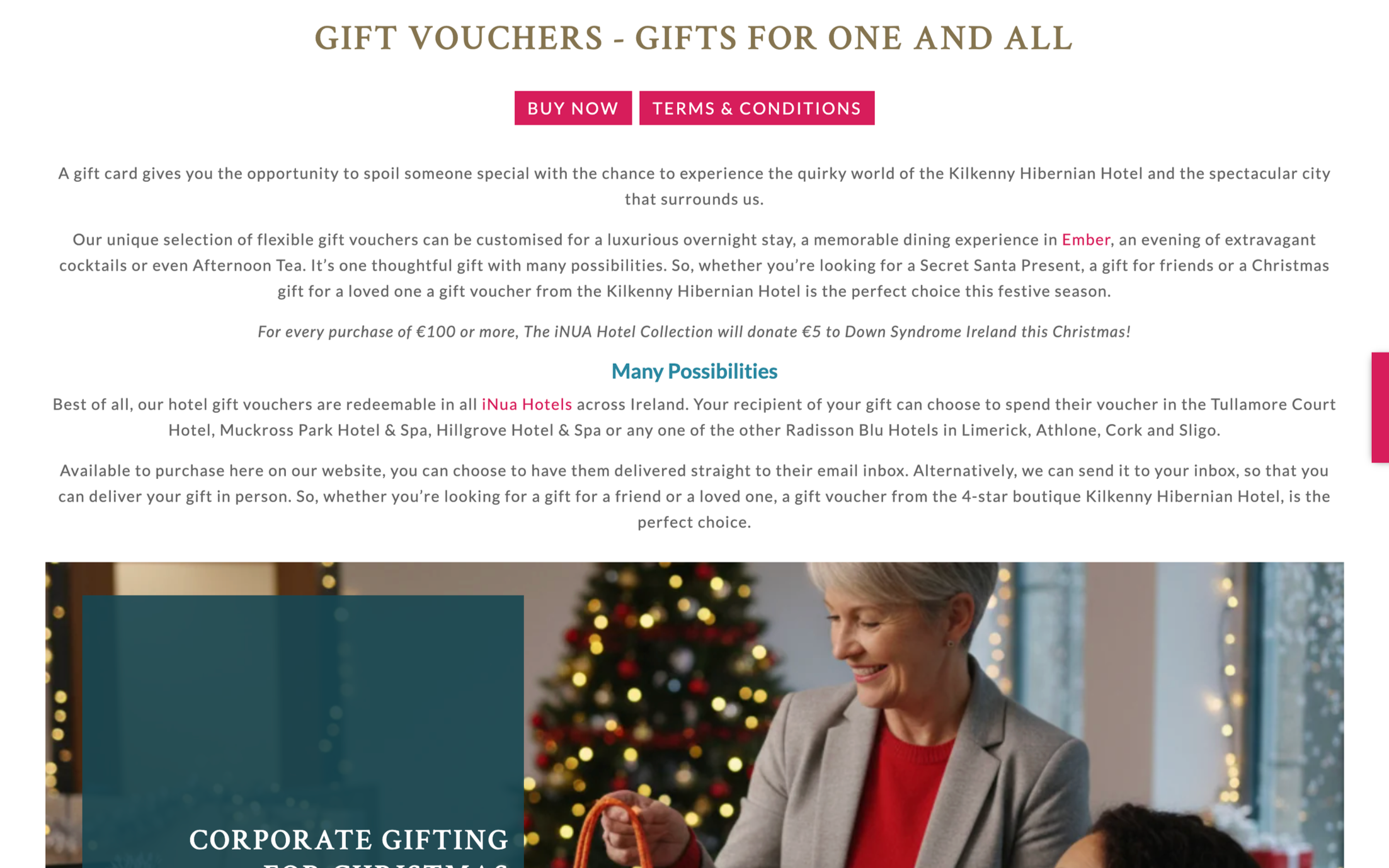 A long, professionally copywritten overview of the hotel’s vouchers and how to buy one.