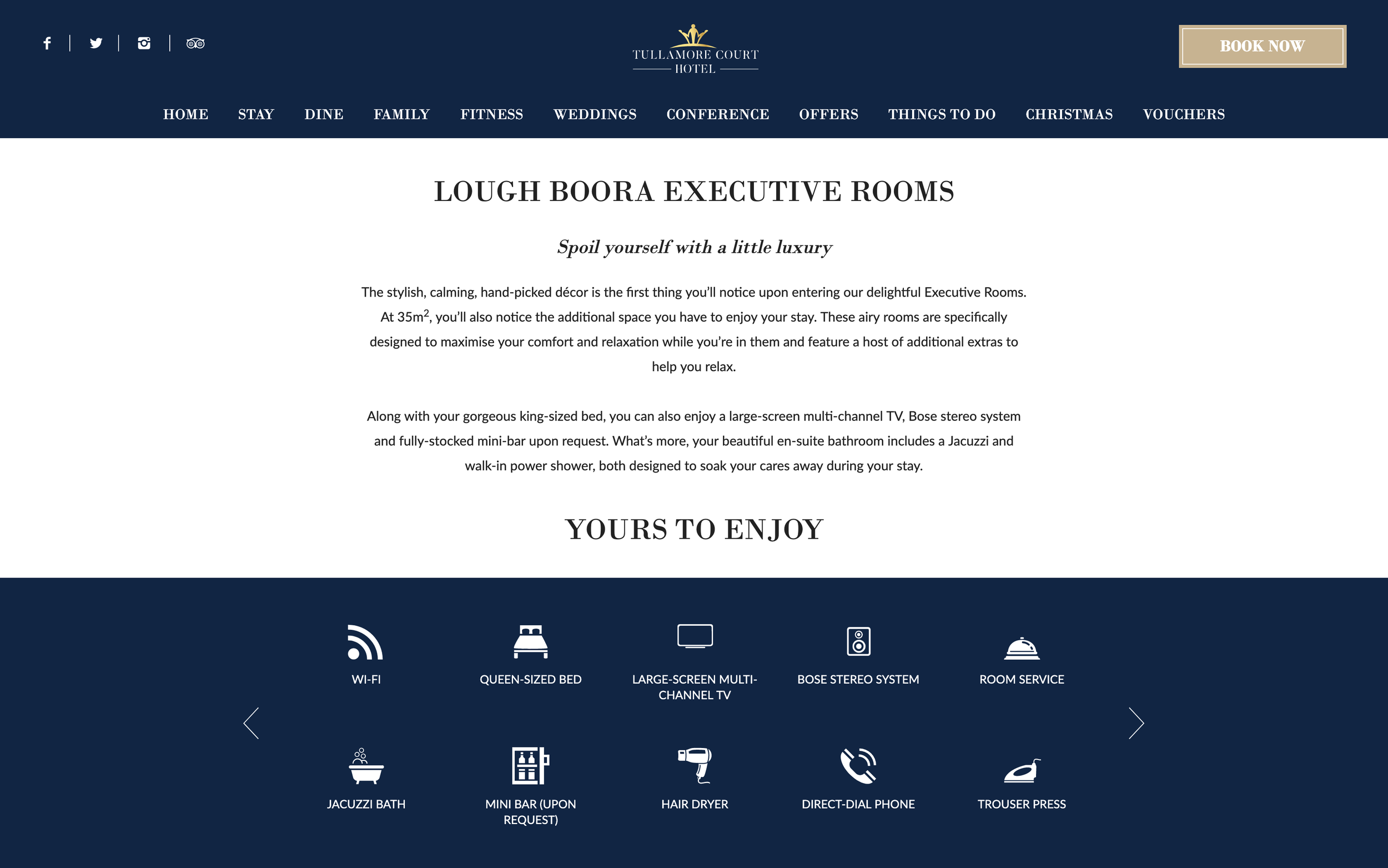 Two carefully crafted paragraphs celebrating the luxurious suites at The Tullamore Court Hotel.