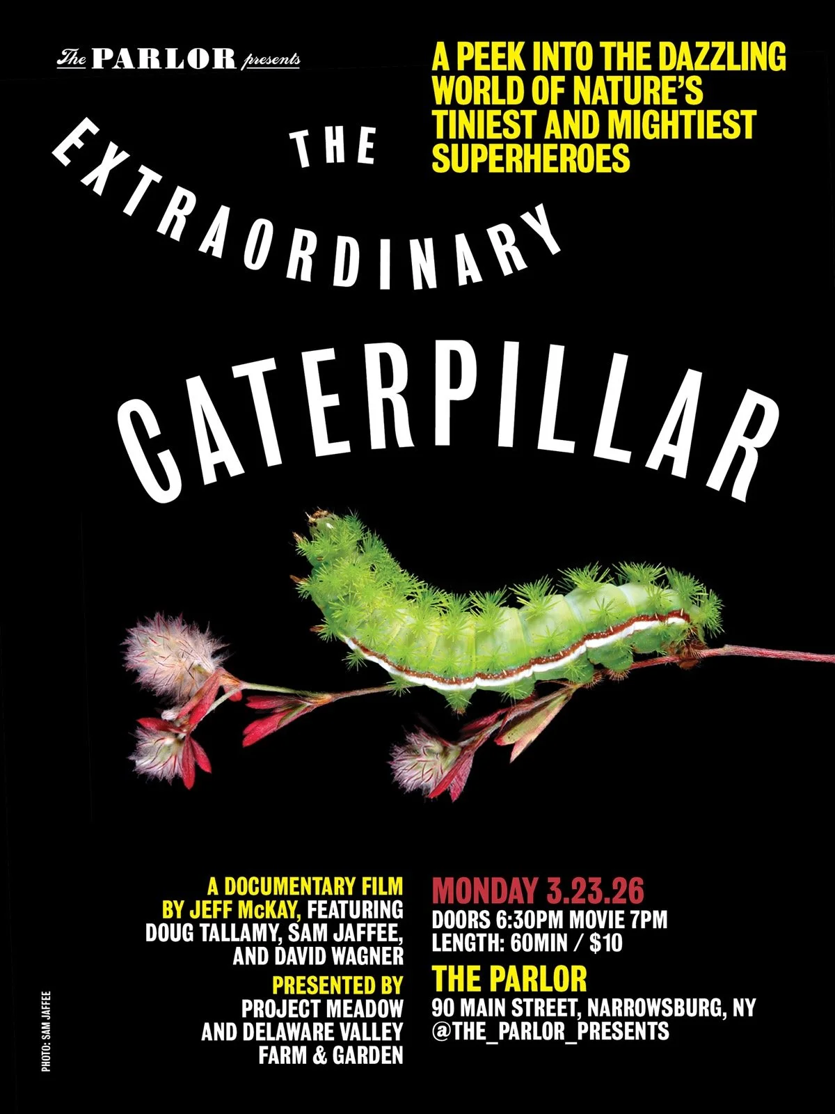 The Extraordinary Caterpillar
