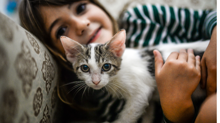 A young girl lying on a patterned sofa, smiling, with a gray and white kitten in her arms.
