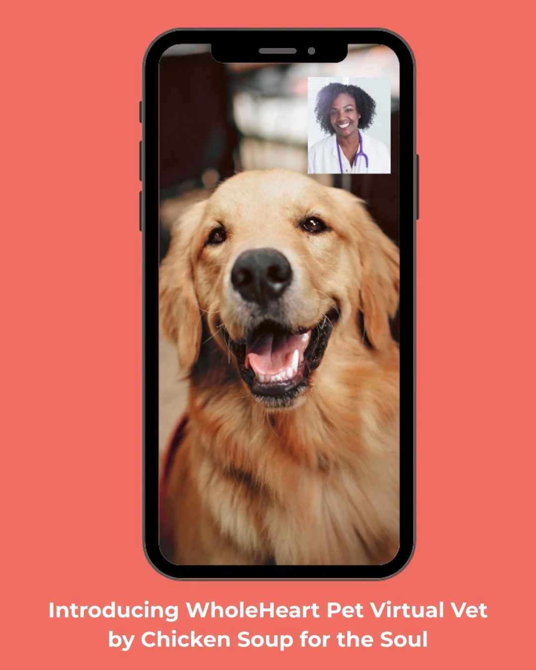 &quot;We are all pet people at Chicken Soup for the Soul! We dote on our own dog and cats. Now, we are pleased to help pet families care for their dogs and cats with a tool that allows them to consult via video with veterinarians 24 hours a day. What