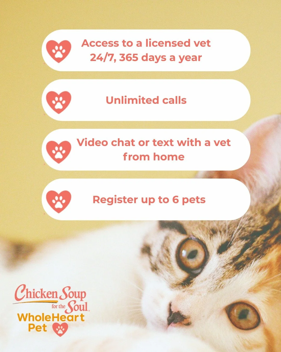 Our mission is simple: to make life better for pets and the families who love them. The Chicken Soup for the Soul WholeHeart Pet Virtual Vet team is a click away - ready to help when you need it the most.
Plans starting as low as $7.50 per month.

#V